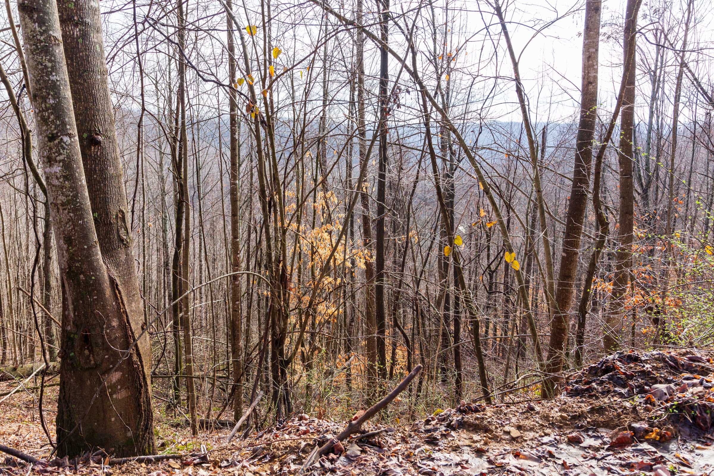 Blackstone Mountain Phase II Tract 84 photo 11