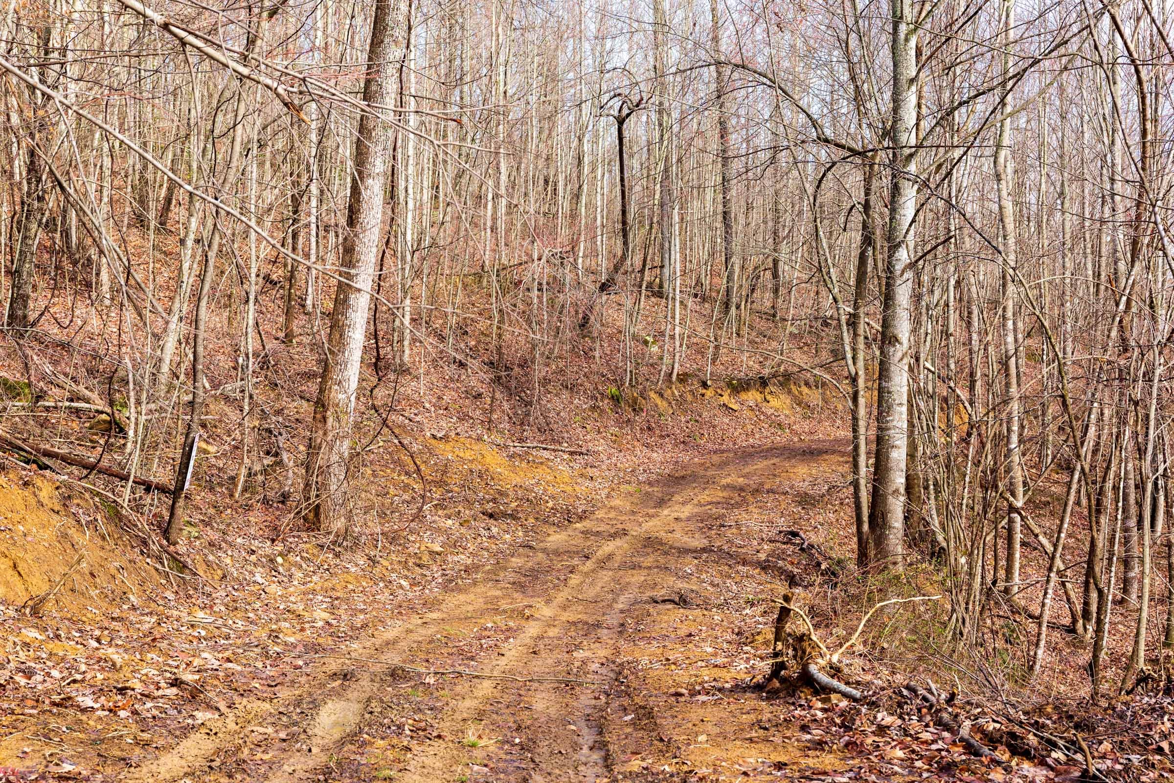 Blackstone Mountain Phase II Tract 84 photo 10