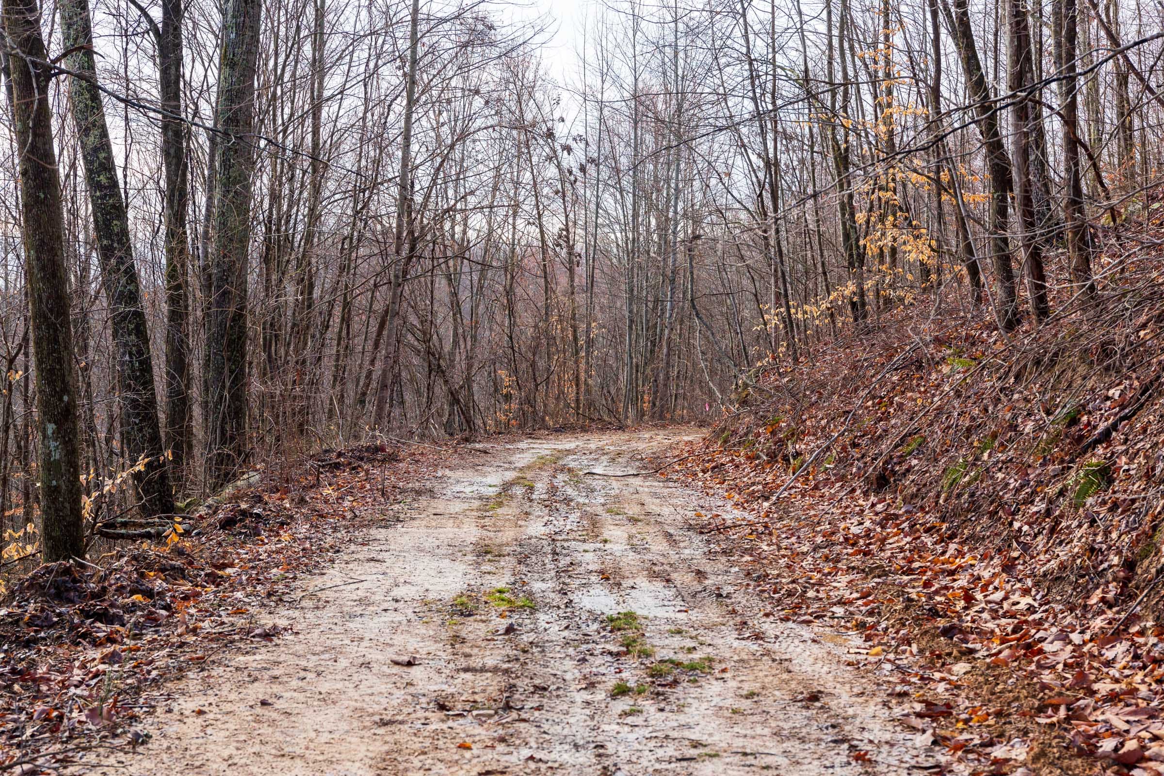 Blackstone Mountain Phase II Tract 84 photo 13
