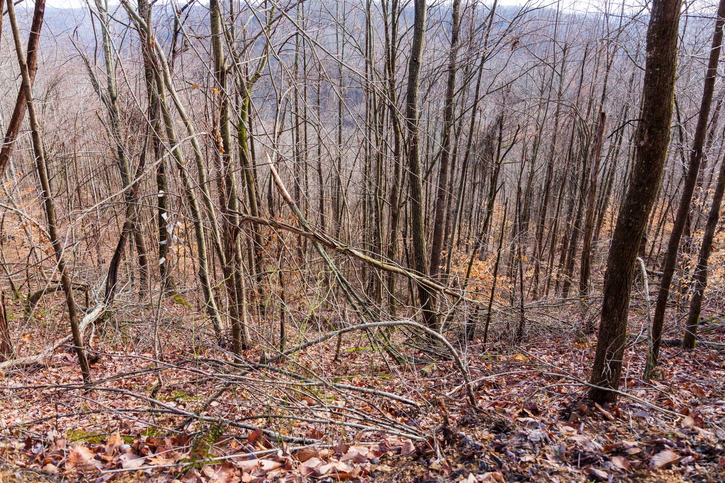 Blackstone Mountain Phase II Tract 84 photo 12