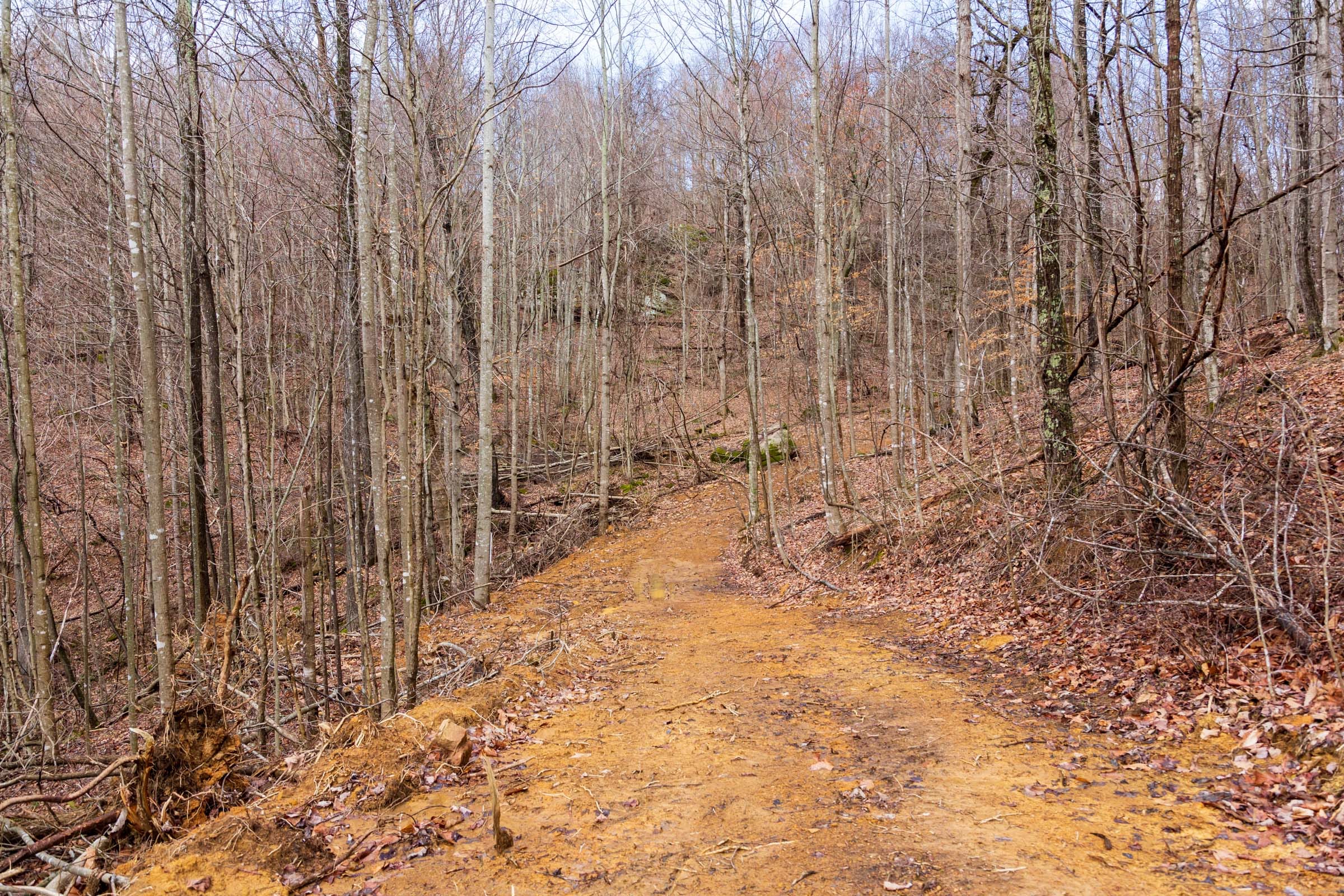 Blackstone Mountain Phase II Tract 84 photo 7