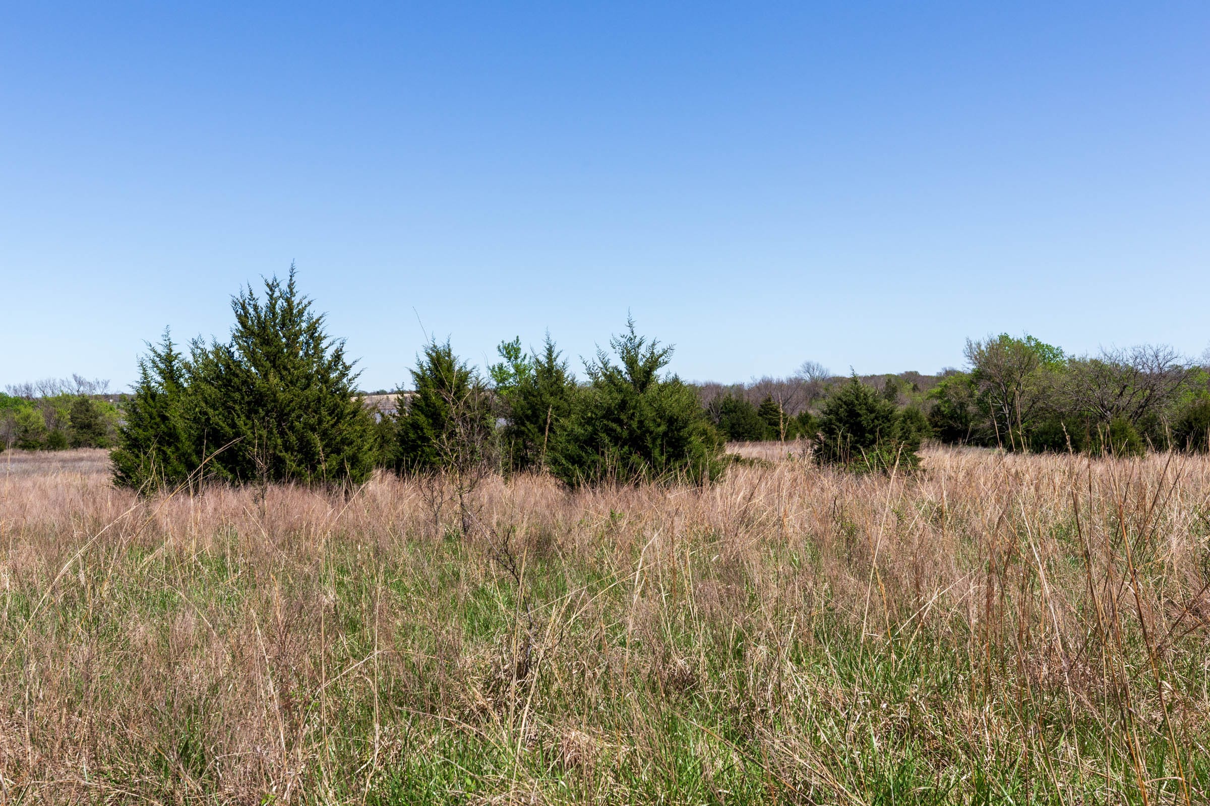Prairie Grove Tract 26 photo 5