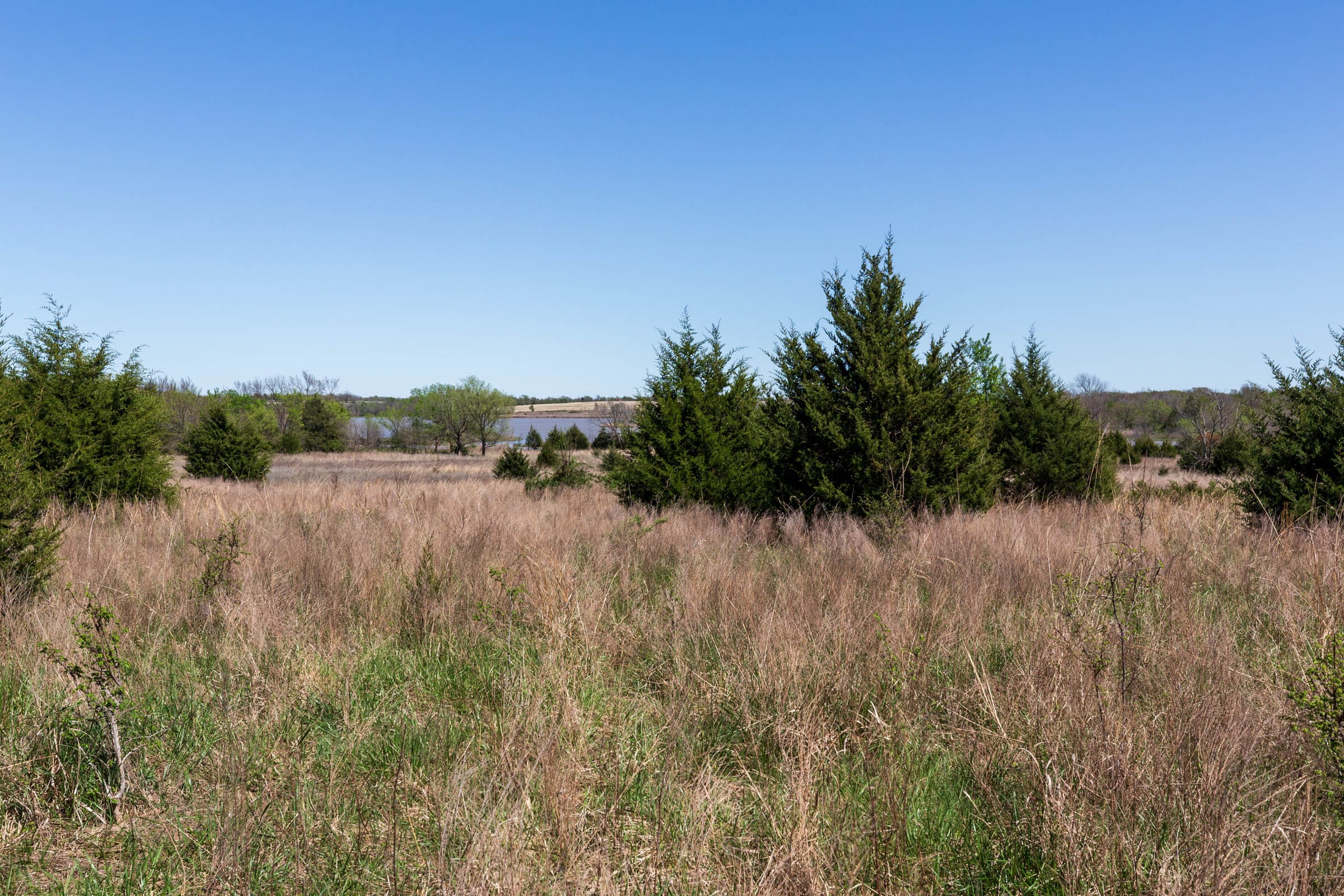 Prairie Grove Tract 26 photo 7