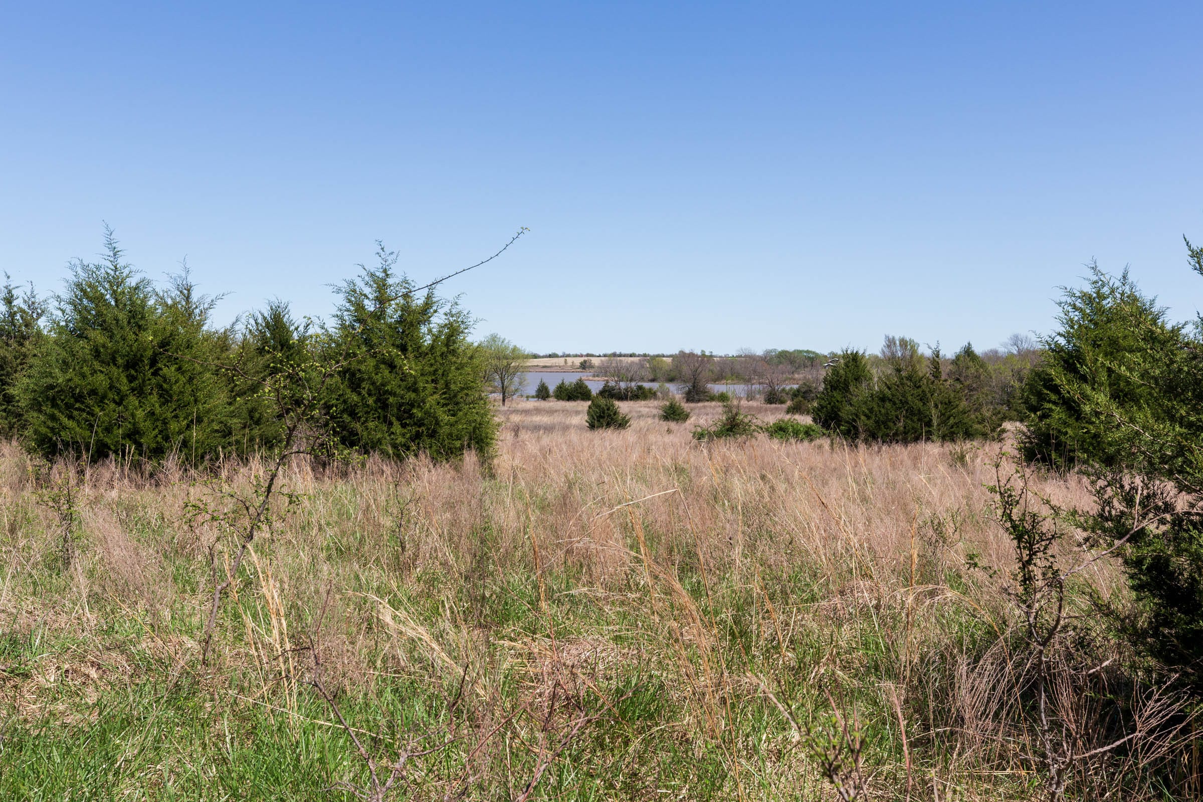 Prairie Grove Tract 26 photo 8