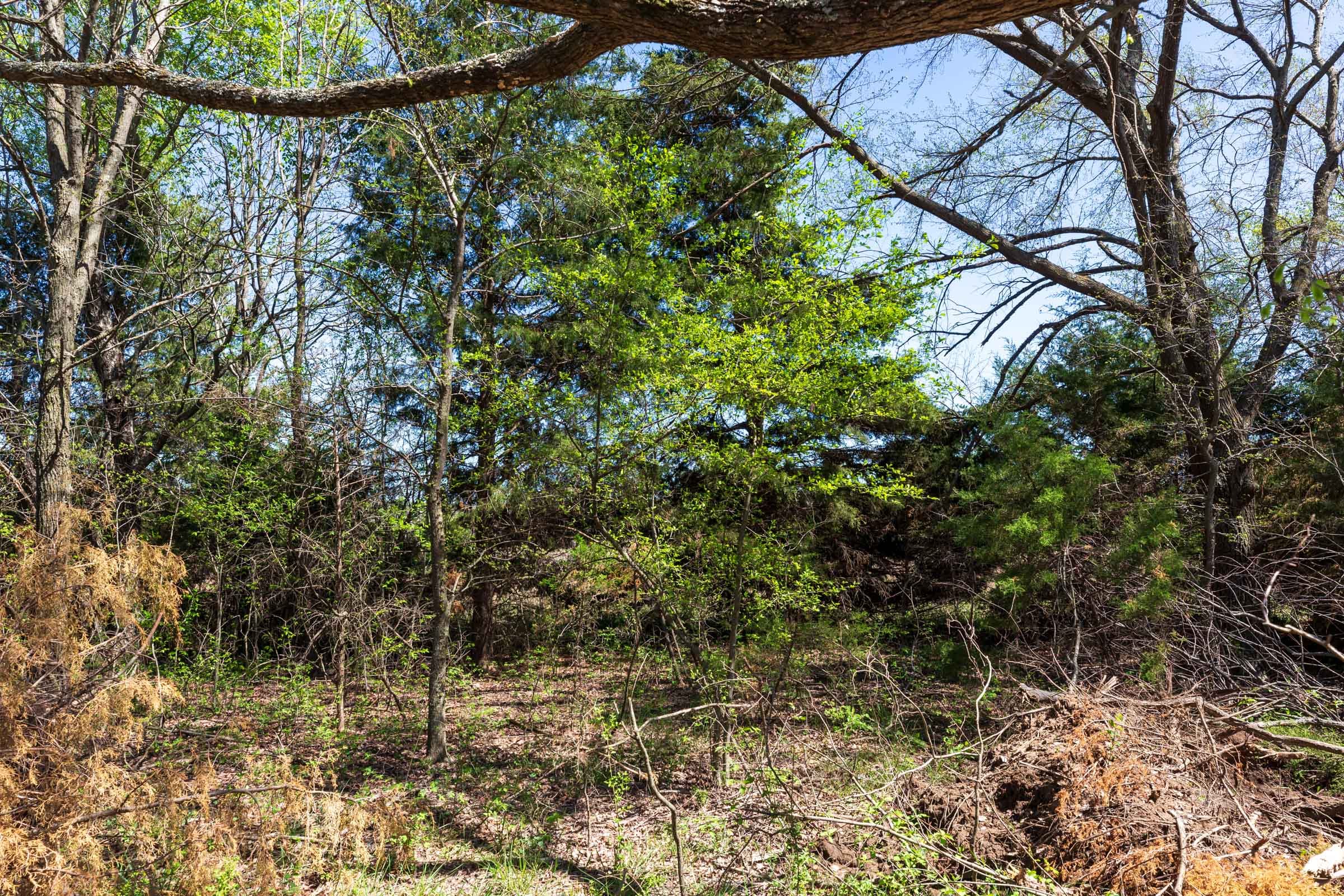 Prairie Grove Tract 26 photo 12