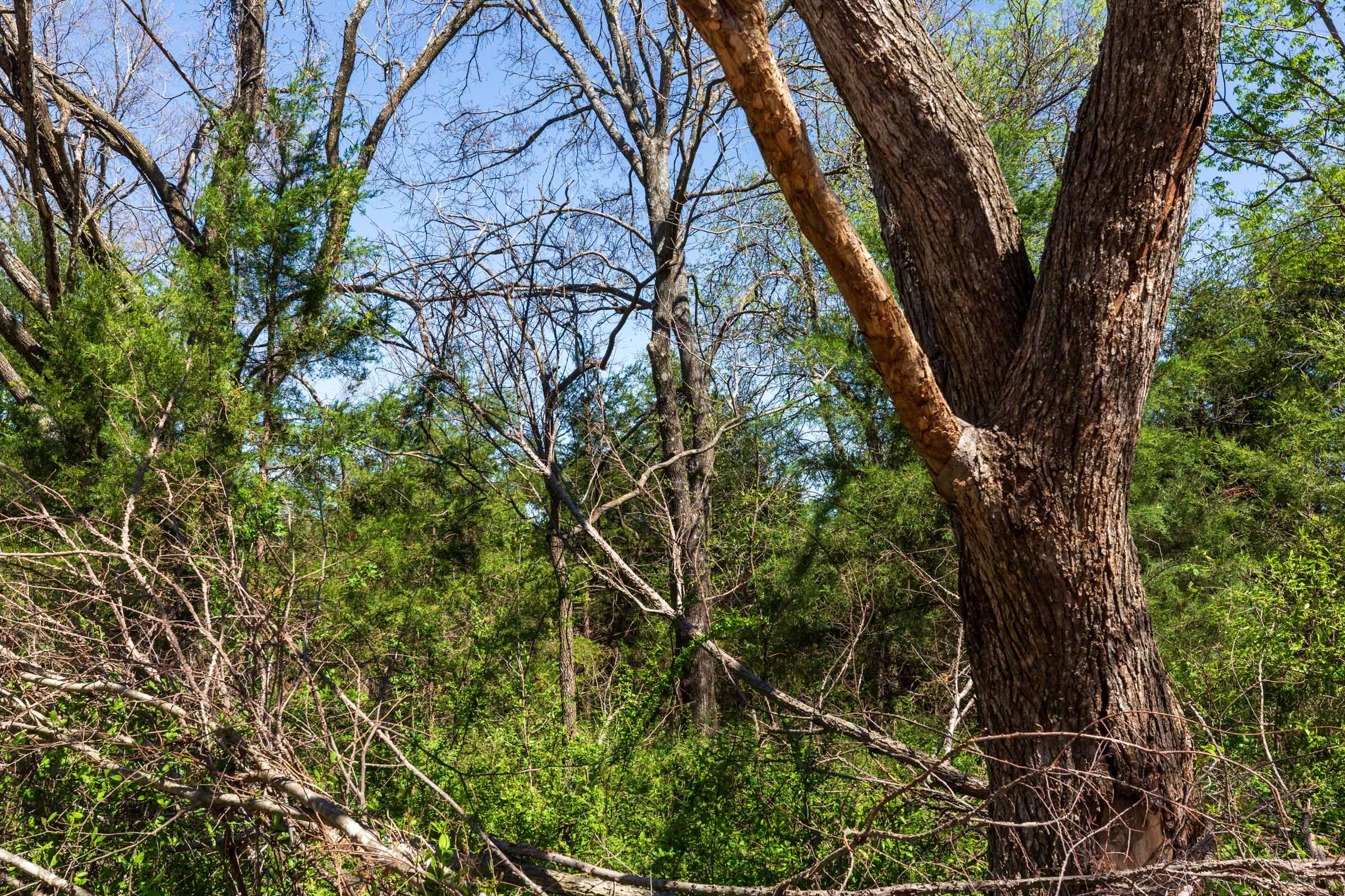 Prairie Grove Tract 26 photo 13