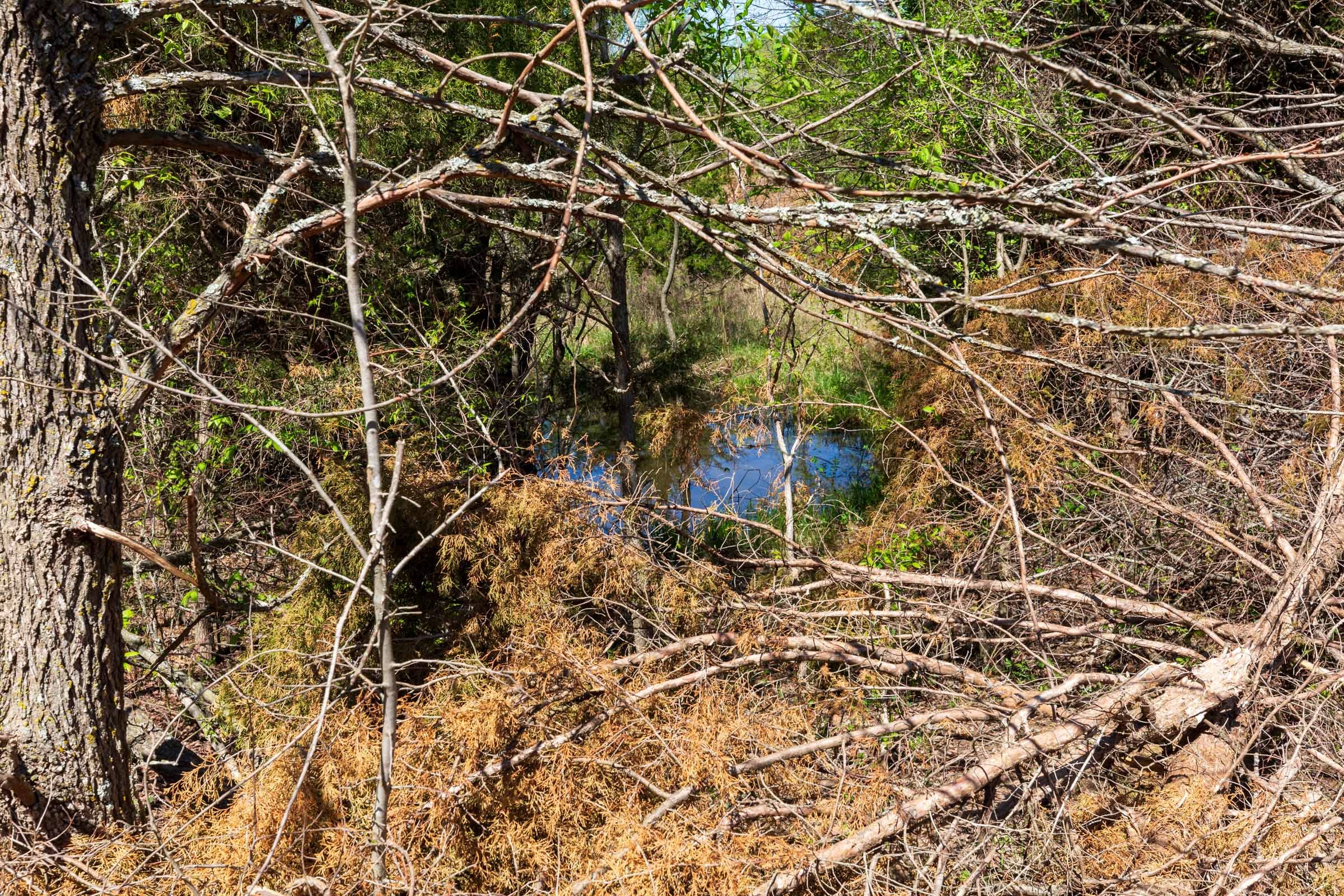 Prairie Grove Tract 26 photo 15