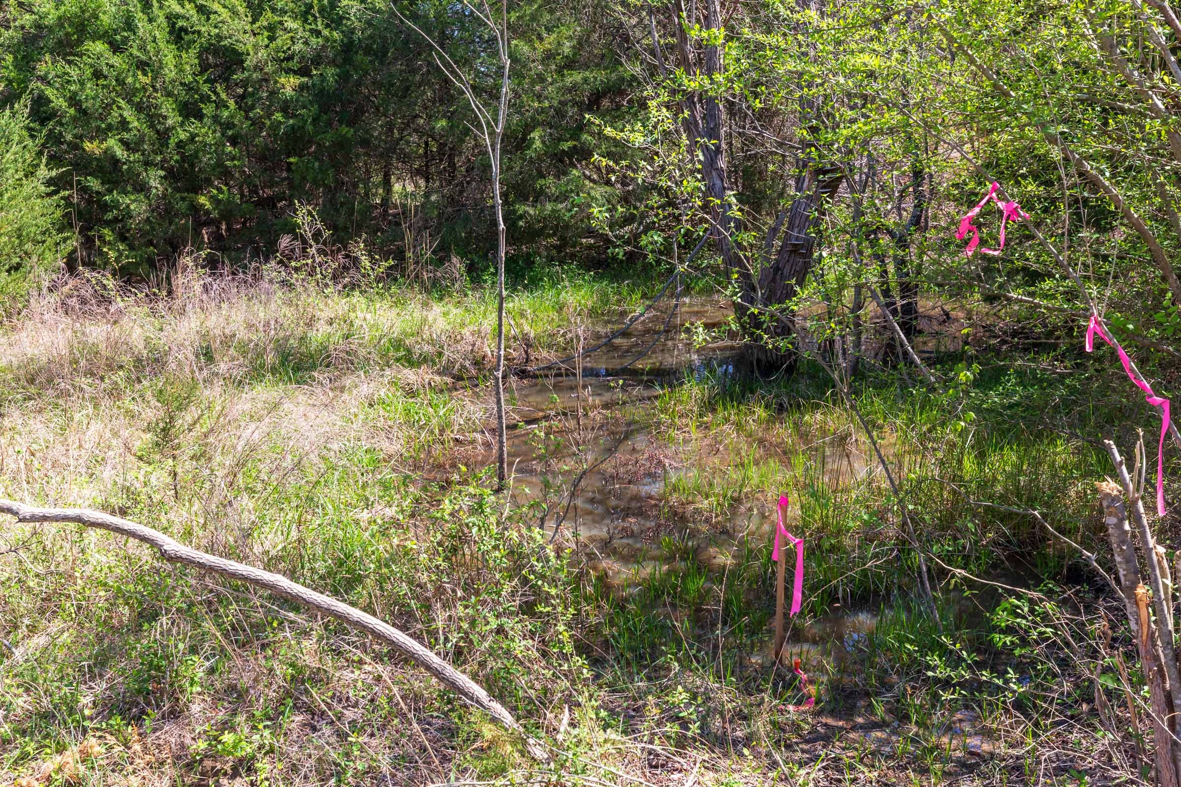 Prairie Grove Tract 26 photo 16