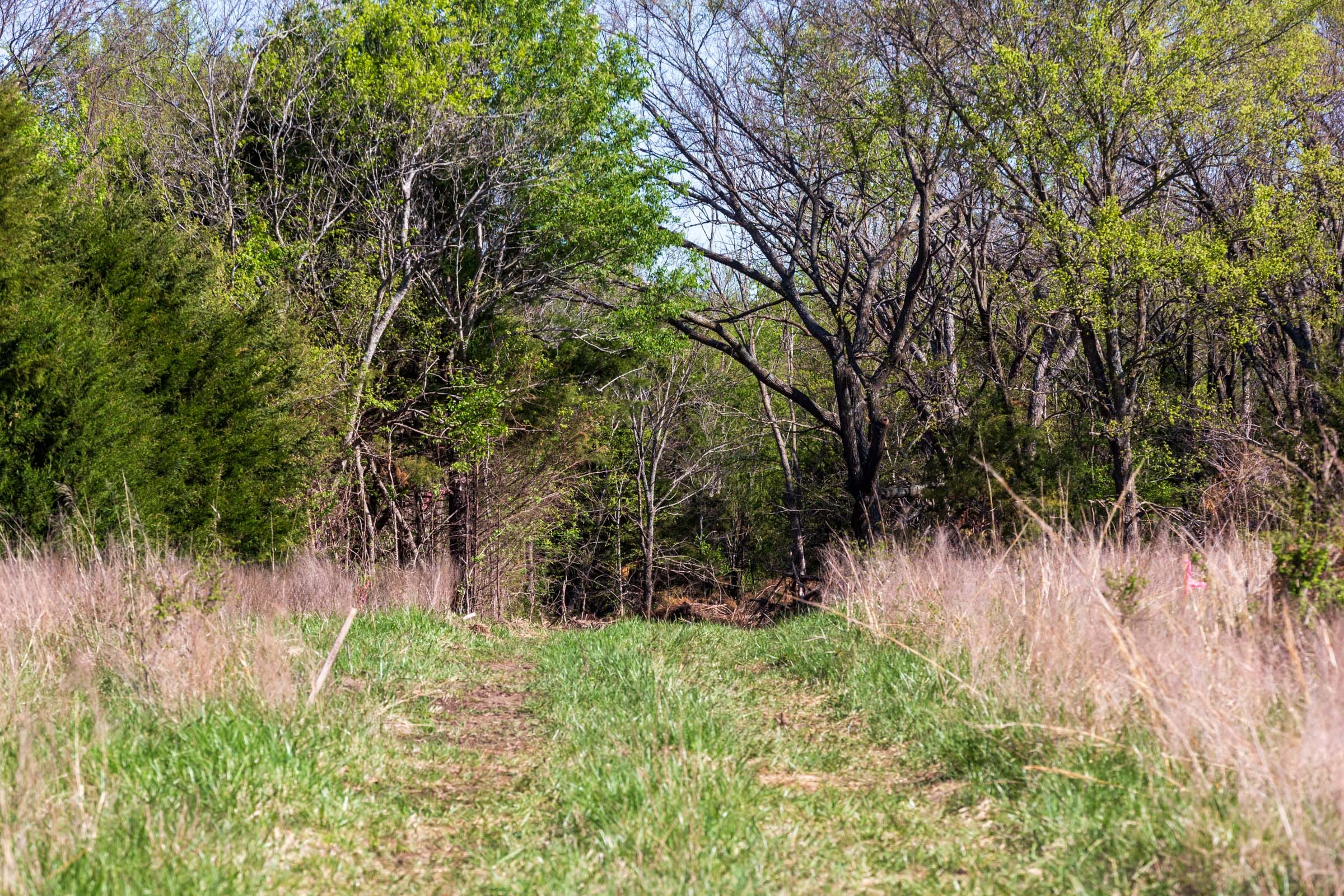 Prairie Grove Tract 26 photo 17