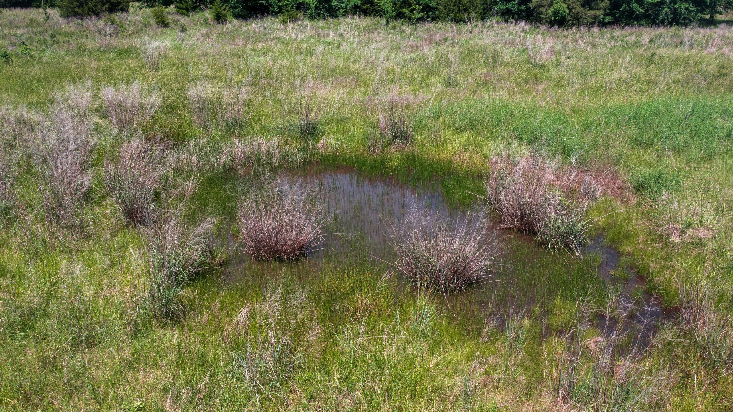 Prairie Grove Tract 26 photo 3