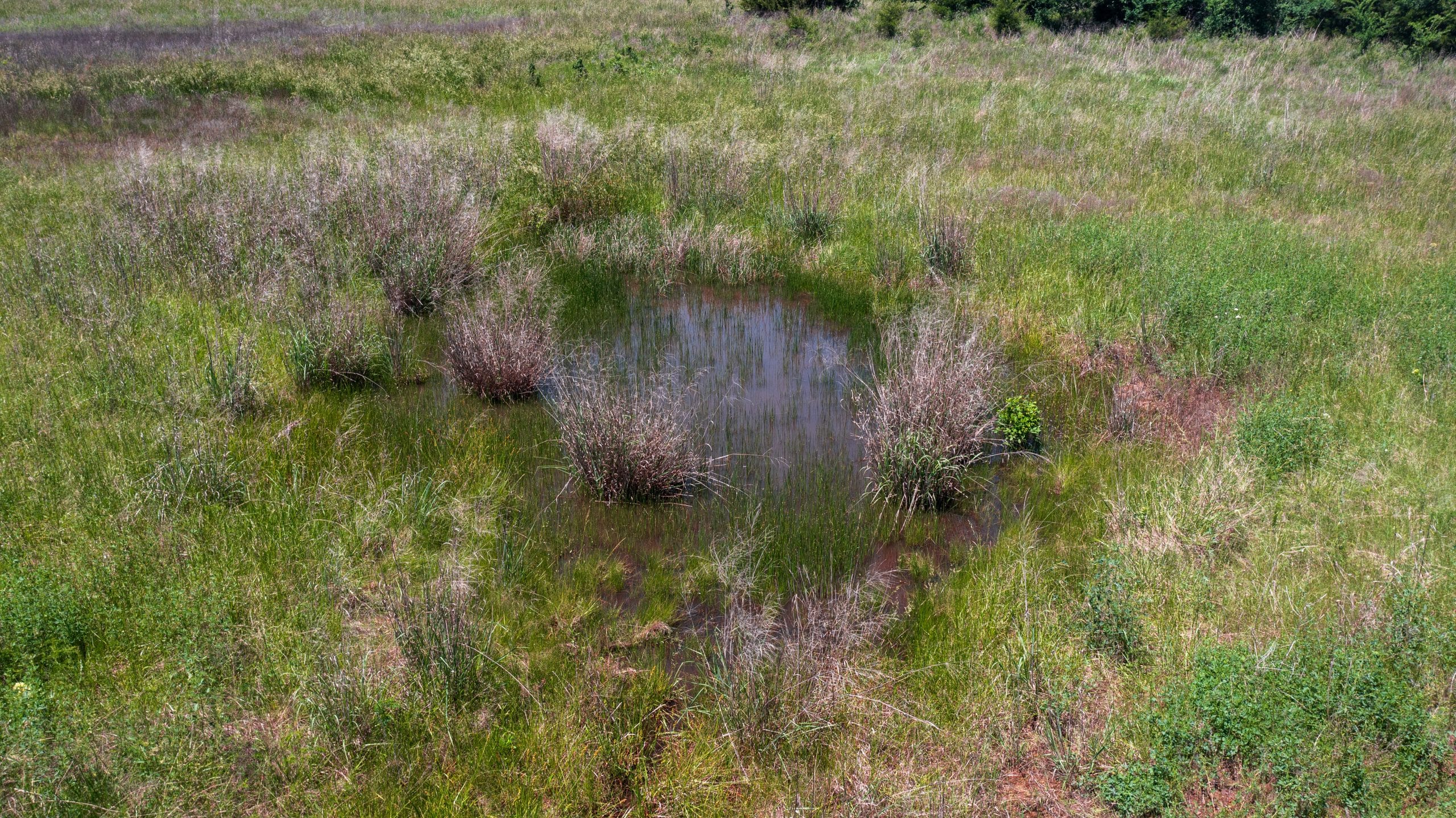 Prairie Grove Tract 26 photo 2