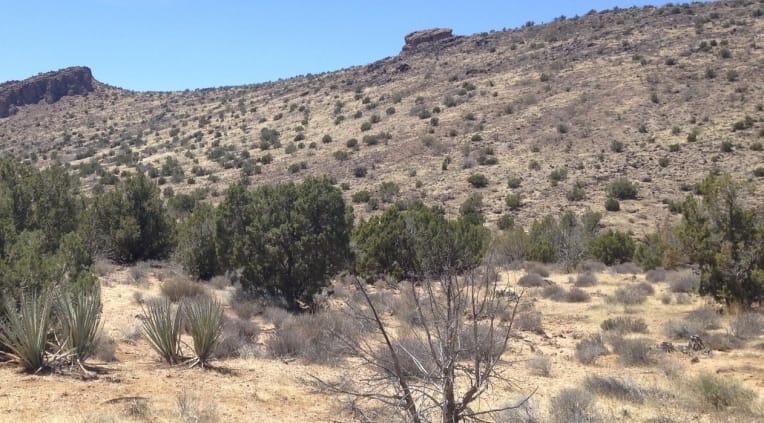Mohave County Tract 398 photo 4