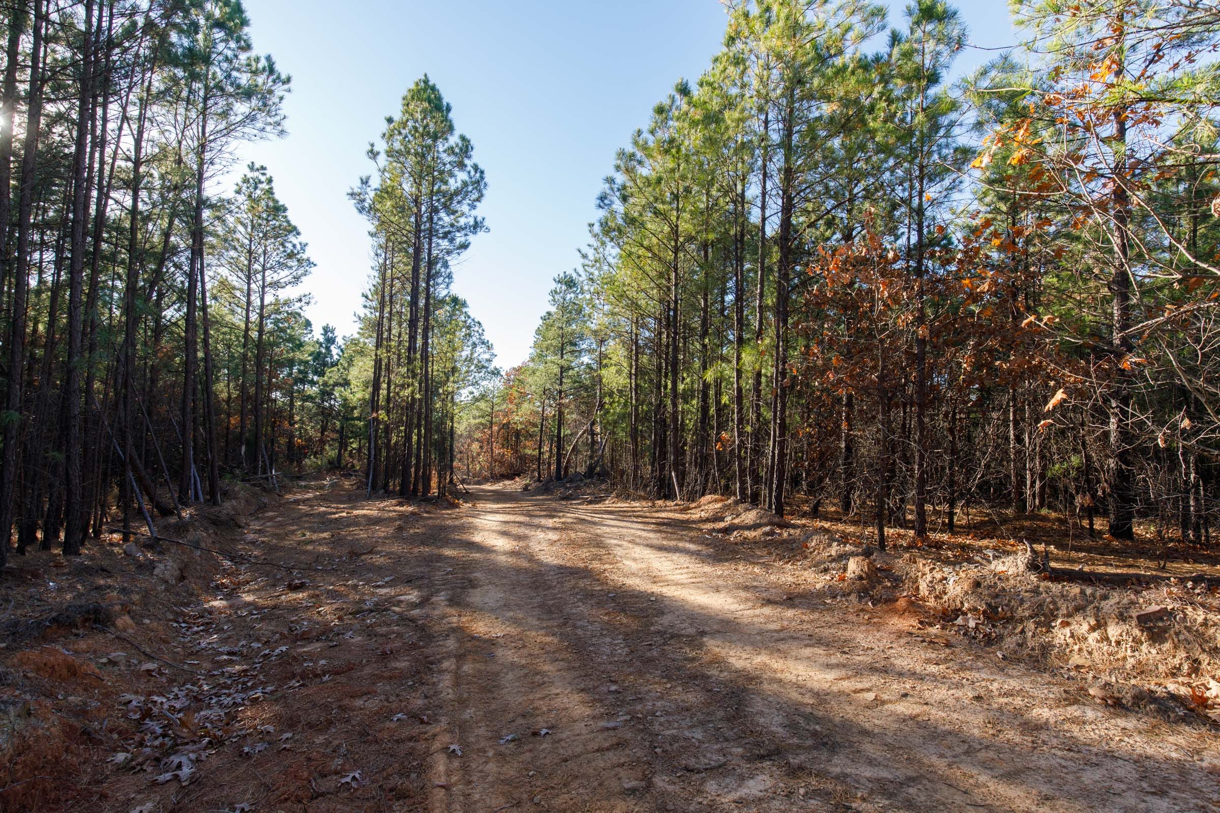 Stone Bridge Phase II Tract 83 photo 1
