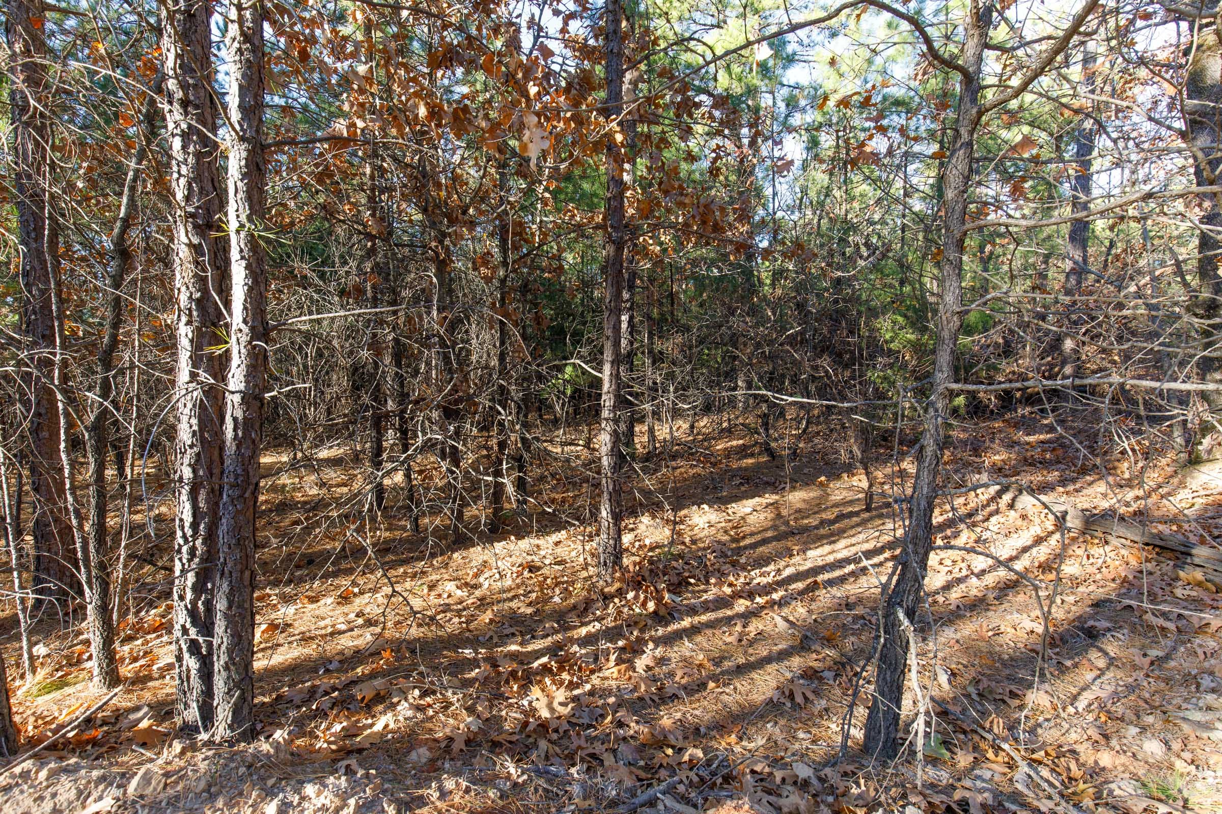 Stone Bridge Phase II Tract 83 photo 3