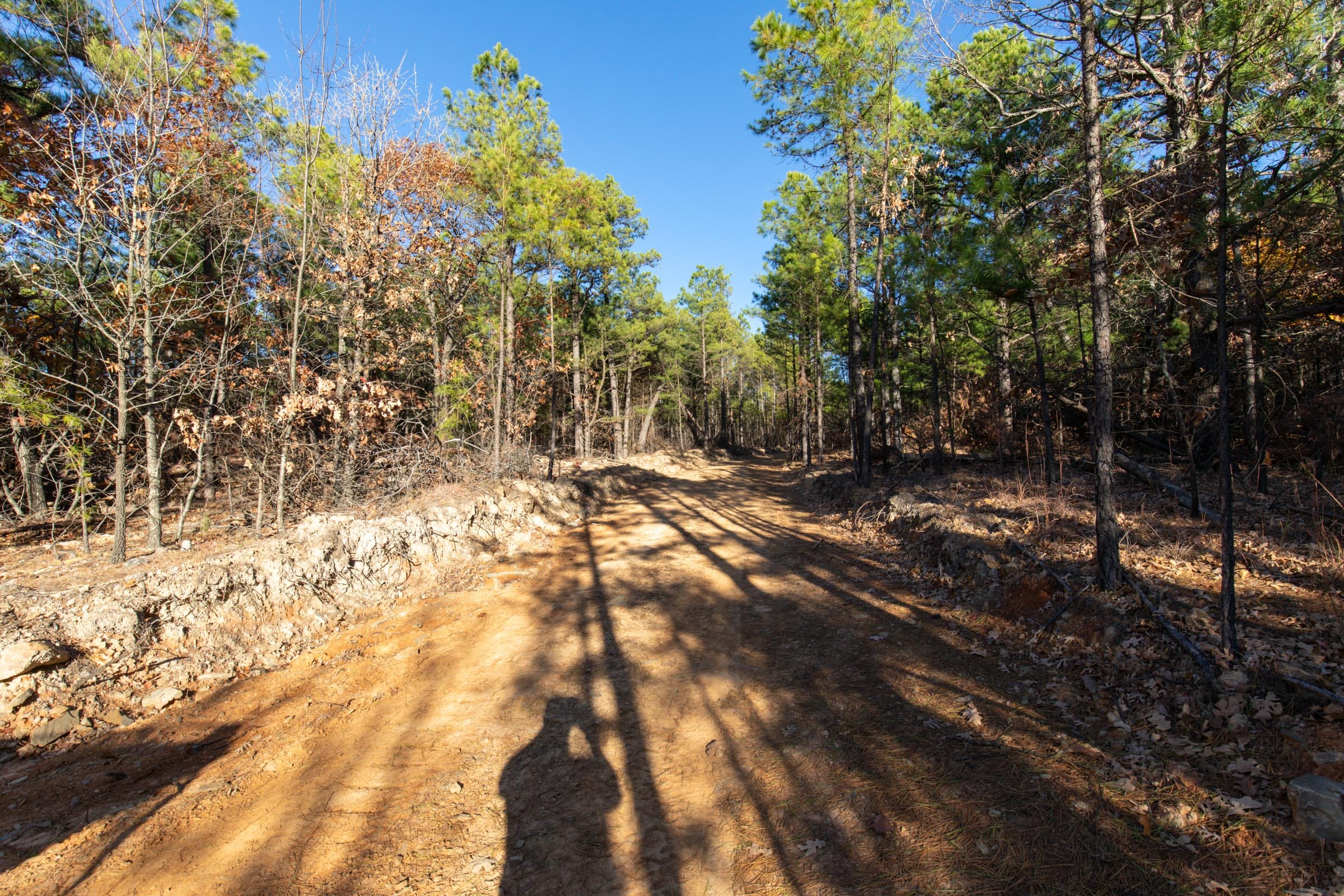 Stone Bridge Phase II Tract 83 photo 5