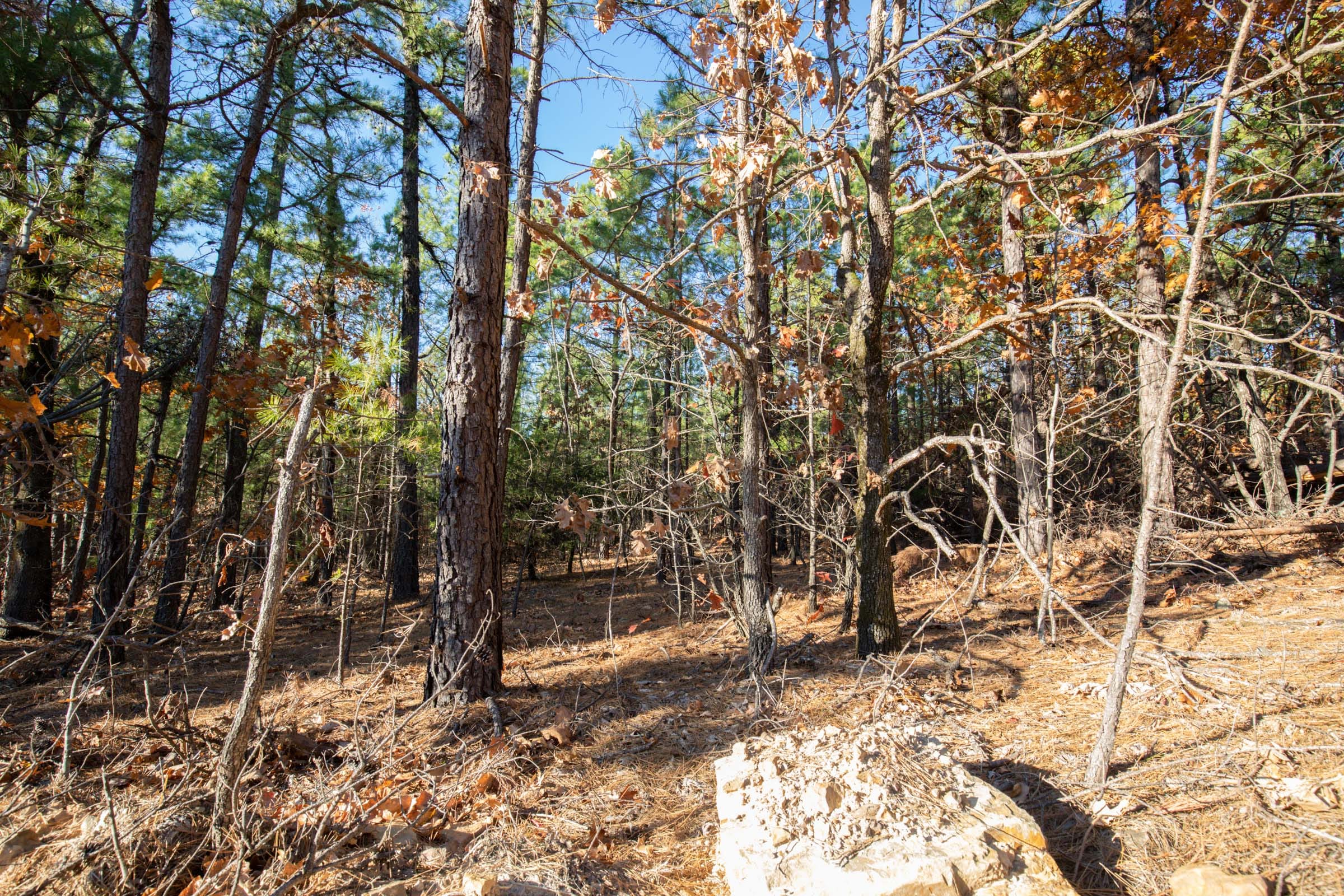Stone Bridge Phase II Tract 83 photo 6