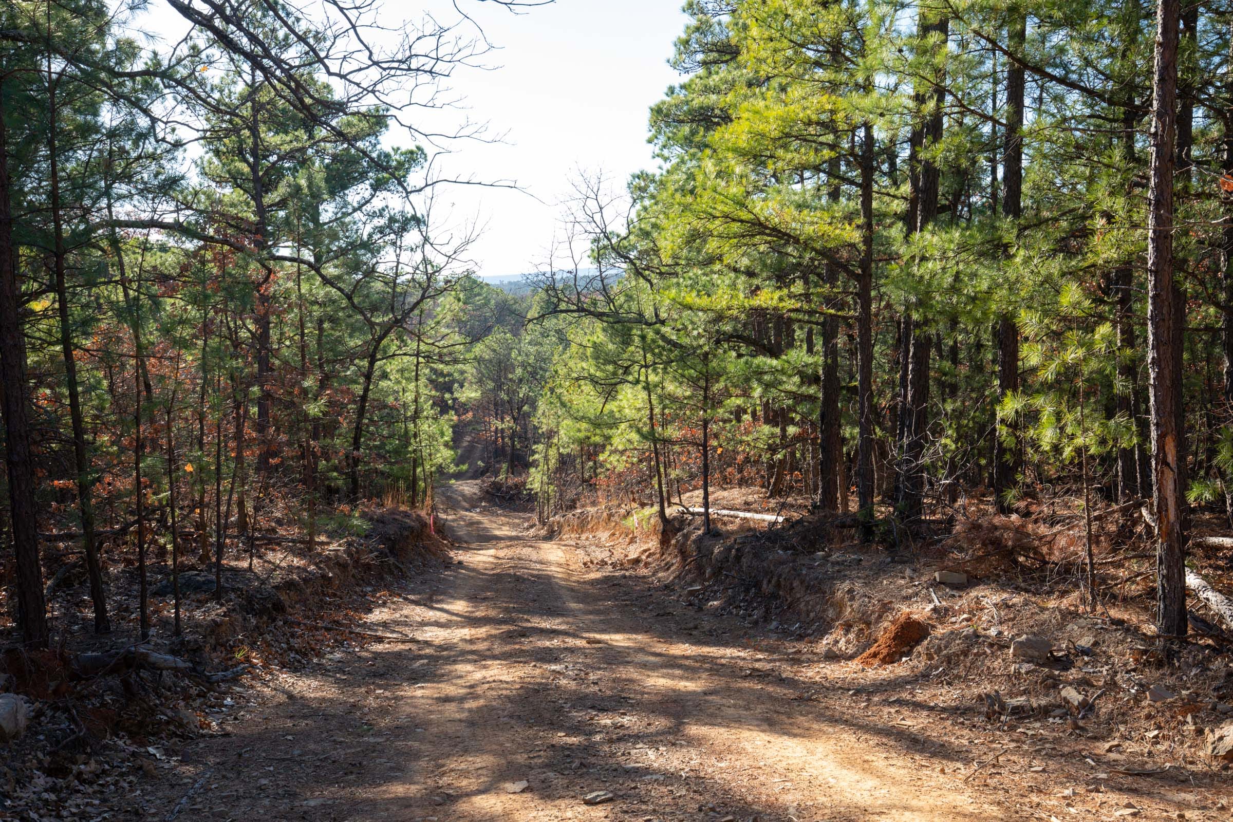 Stone Bridge Phase II Tract 83 photo 9