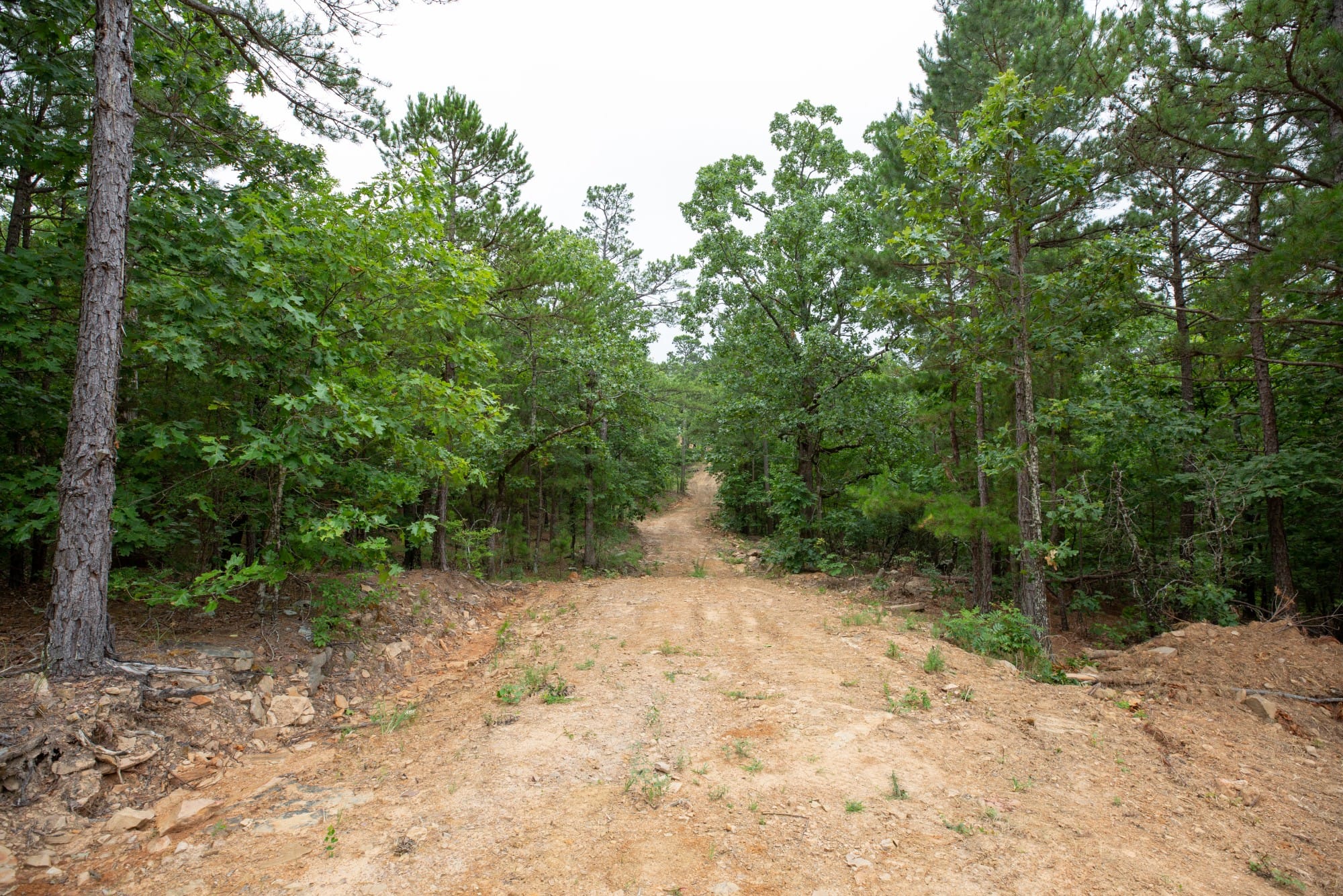 Eagle’s Nest Tract 50 photo 1