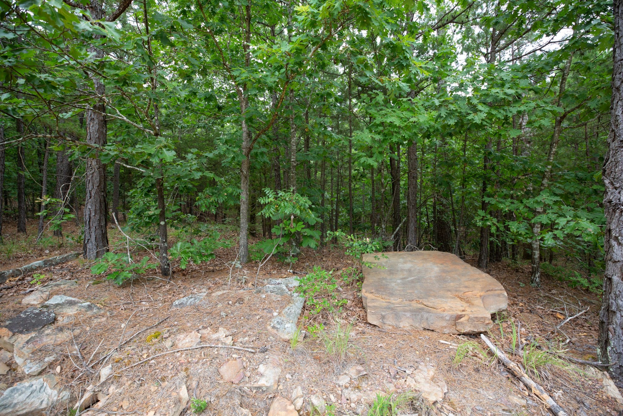Eagle’s Nest Tract 50 photo 2