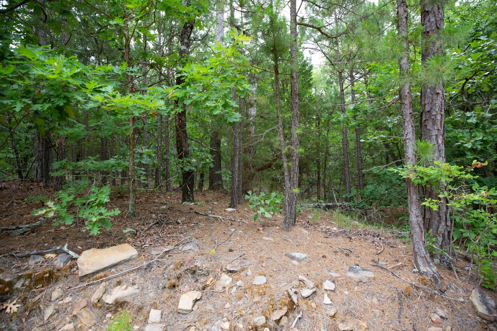 Eagle’s Nest Tract 50 photo 4