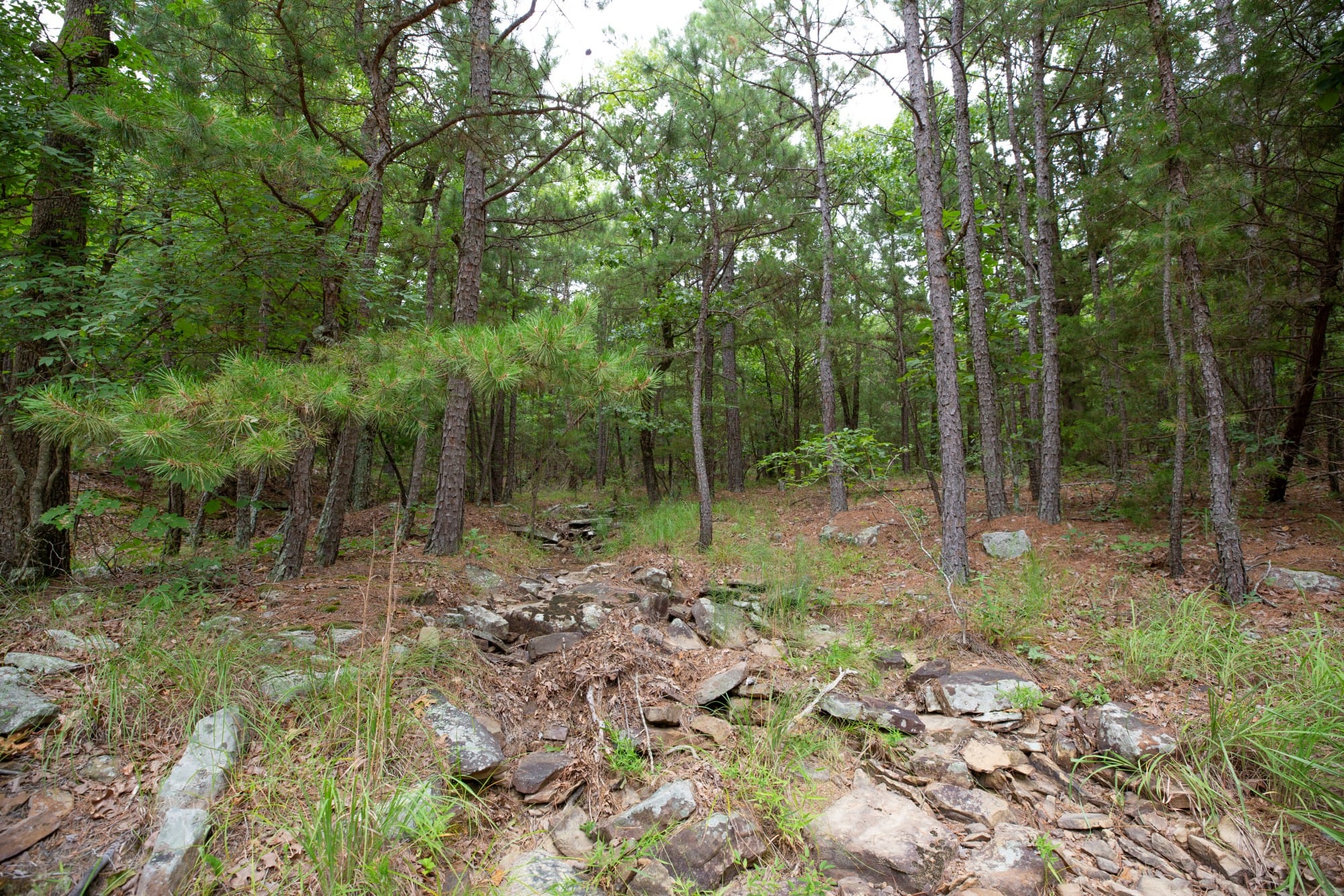 Eagle’s Nest Tract 50 photo 6