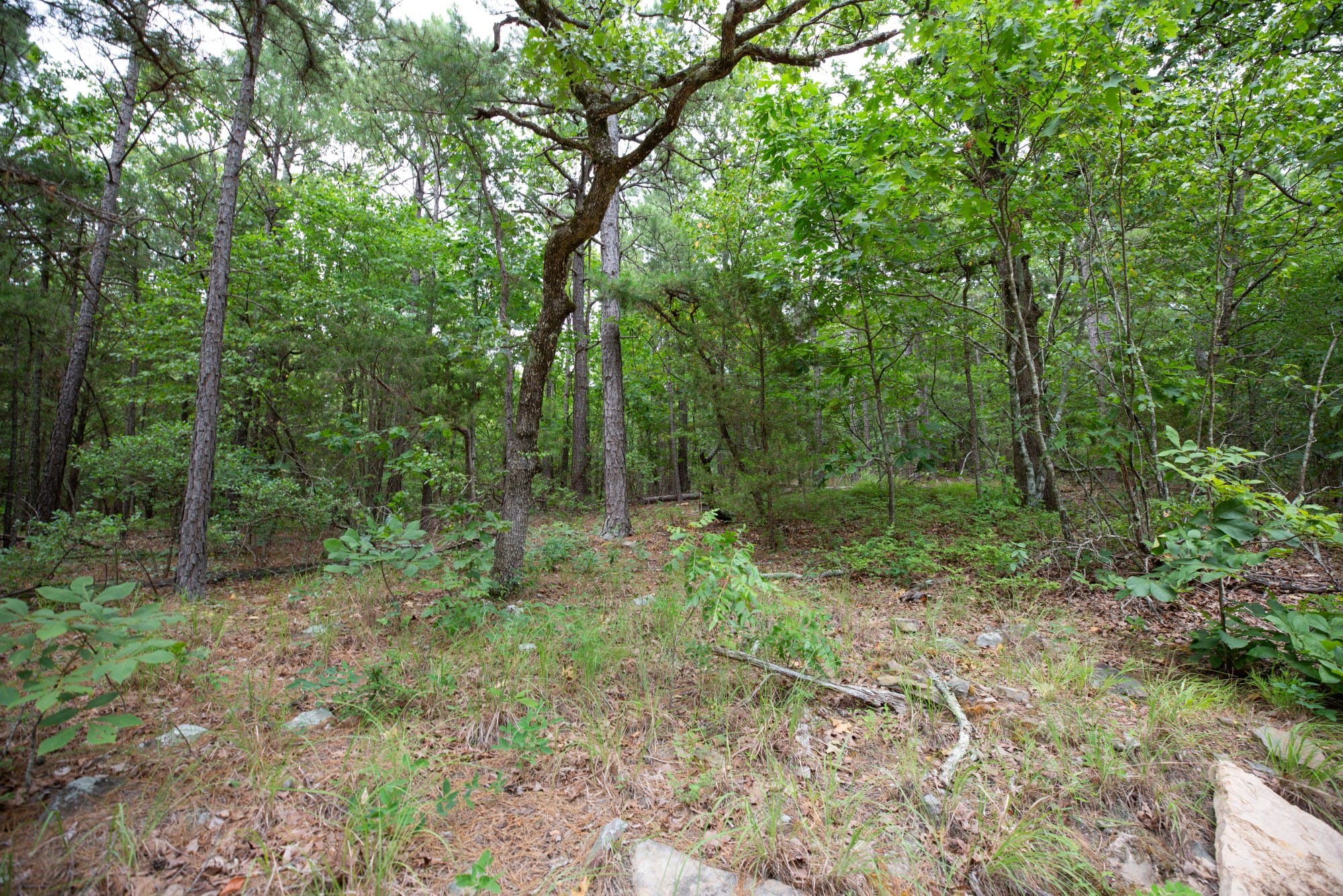Eagle’s Nest Tract 50 photo 7