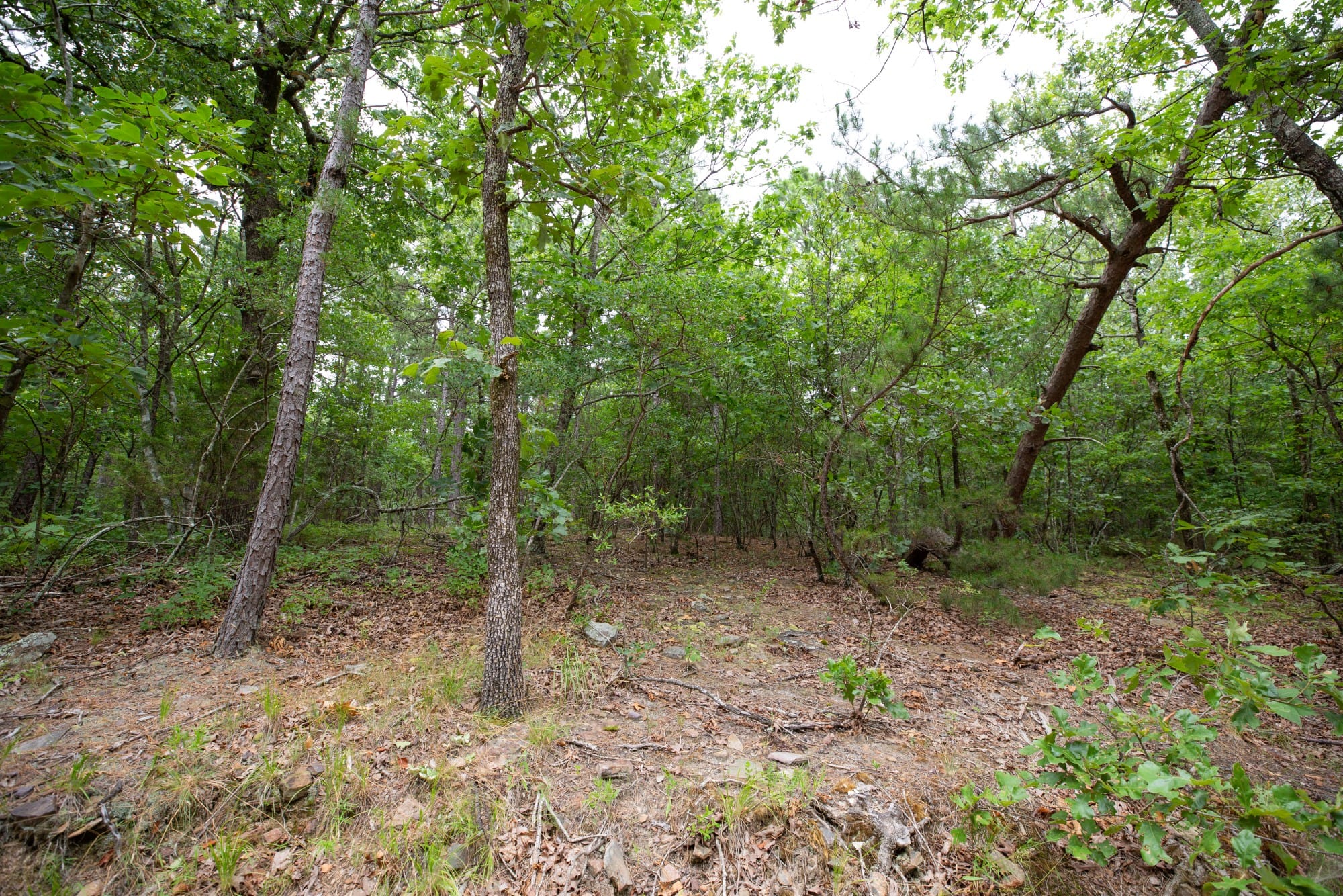 Eagle’s Nest Tract 50 photo 9