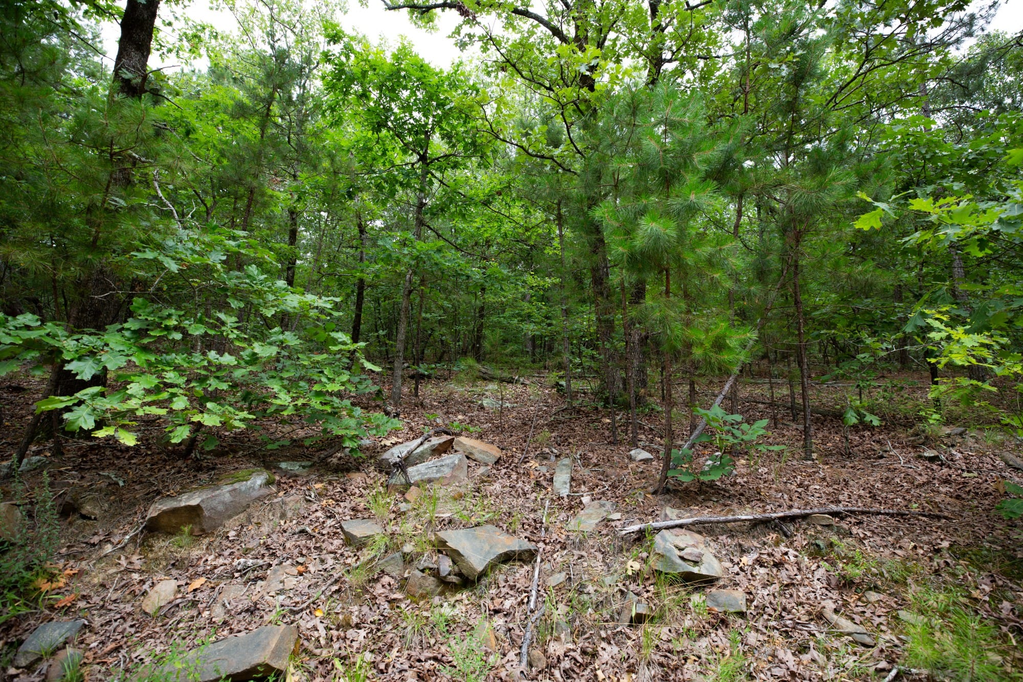 Eagle’s Nest Tract 50 photo 11