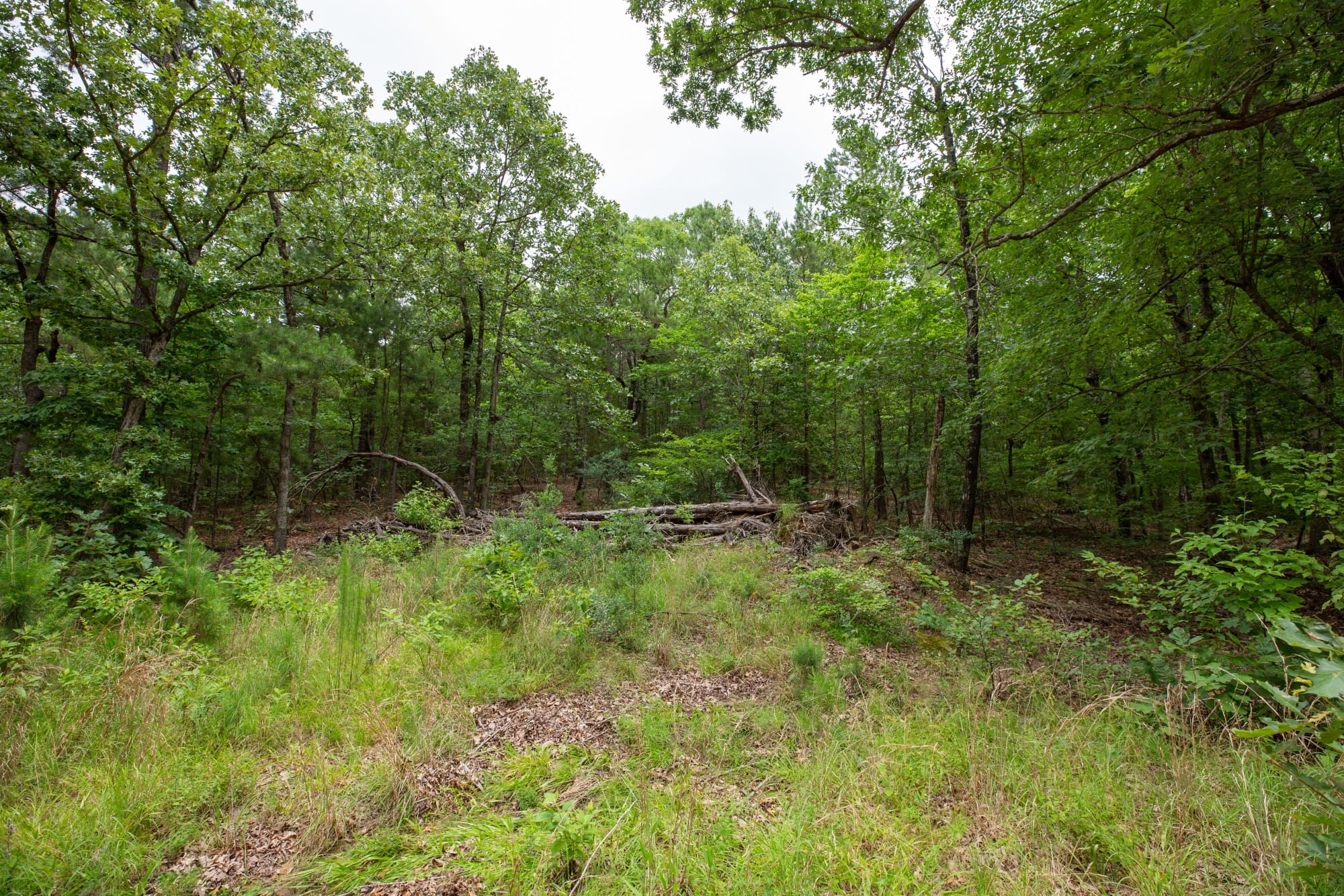 Eagle’s Nest Tract 50 photo 12