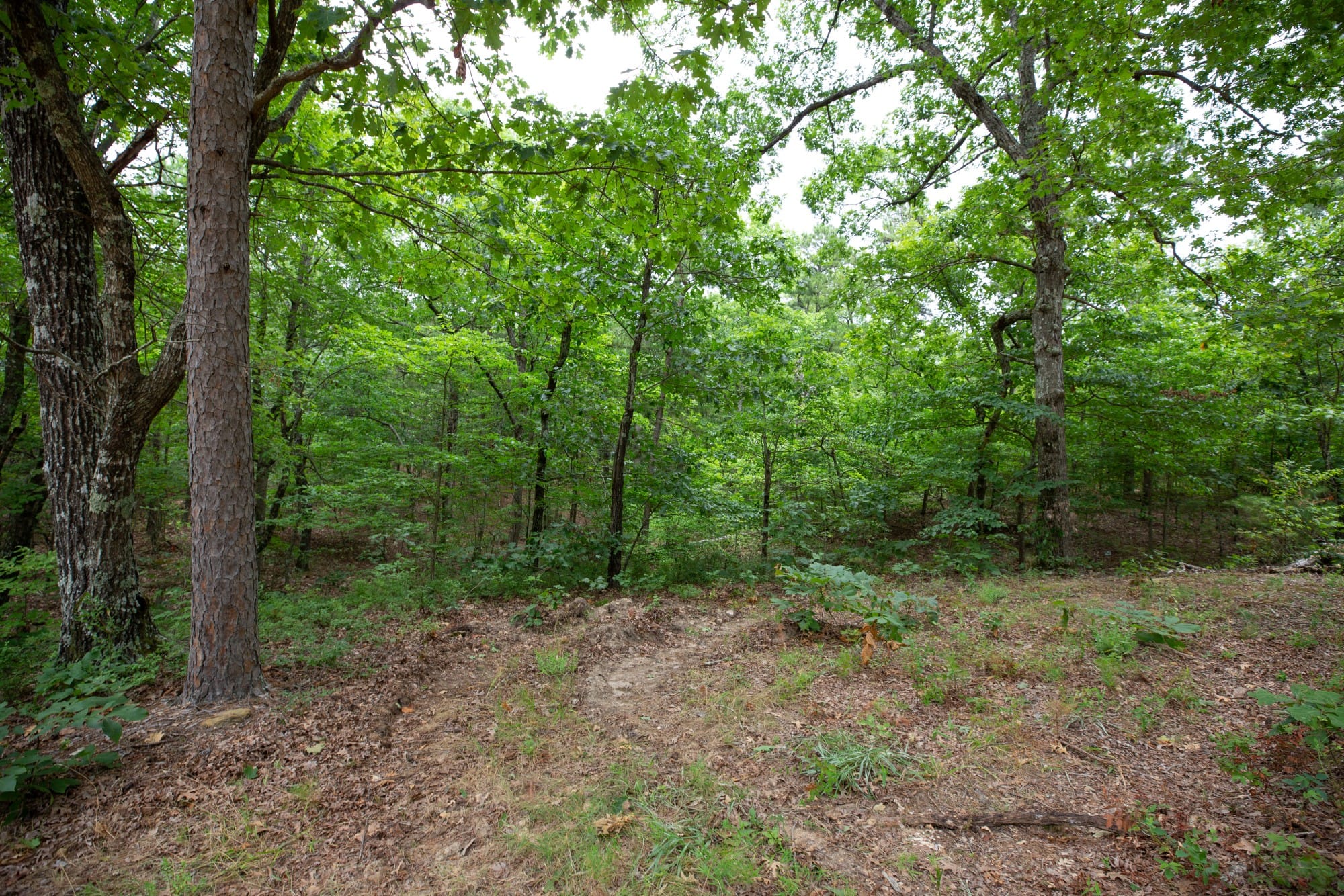 Eagle’s Nest Tract 50 photo 13