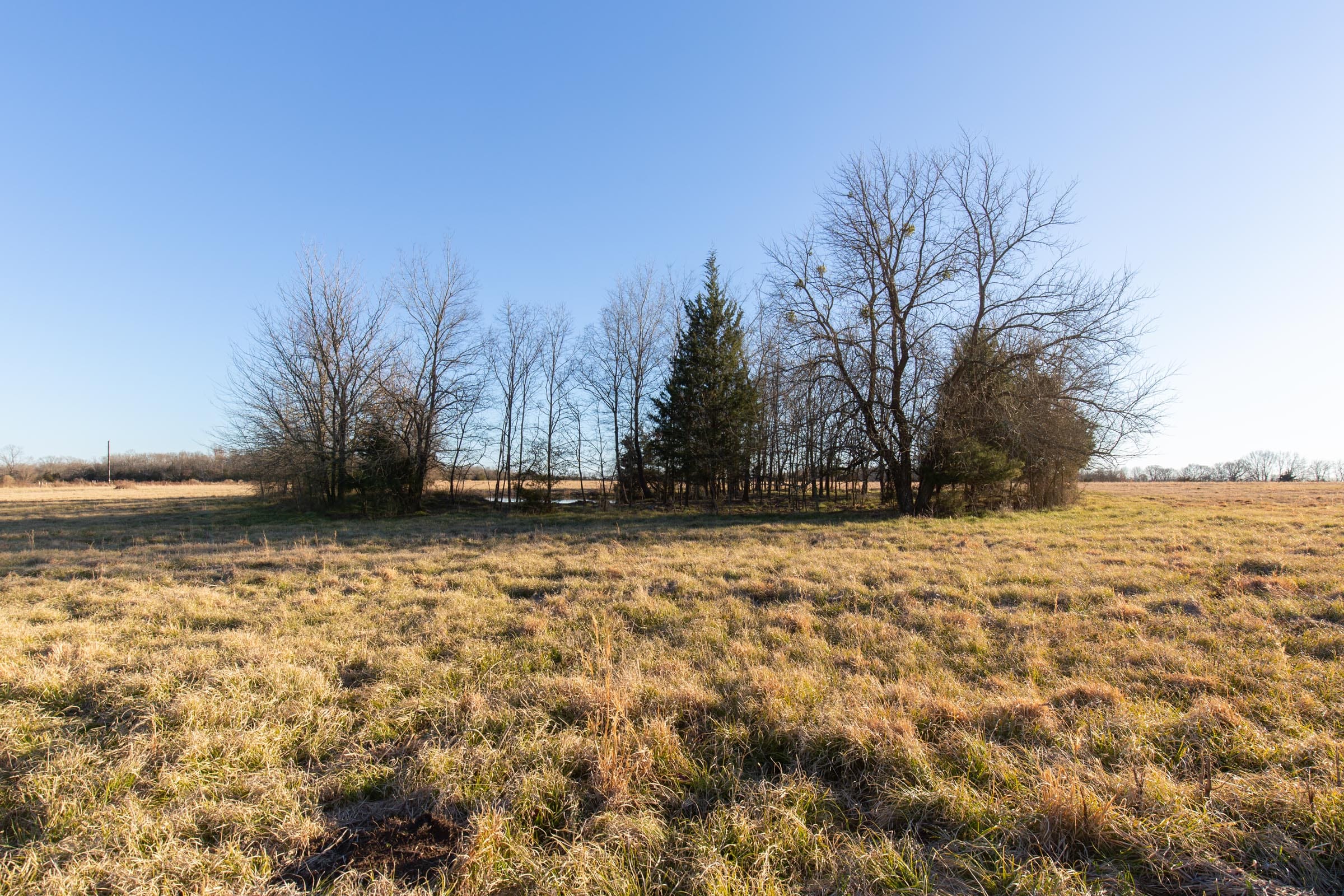Wishing Star Ranch Tract 16 photo 2
