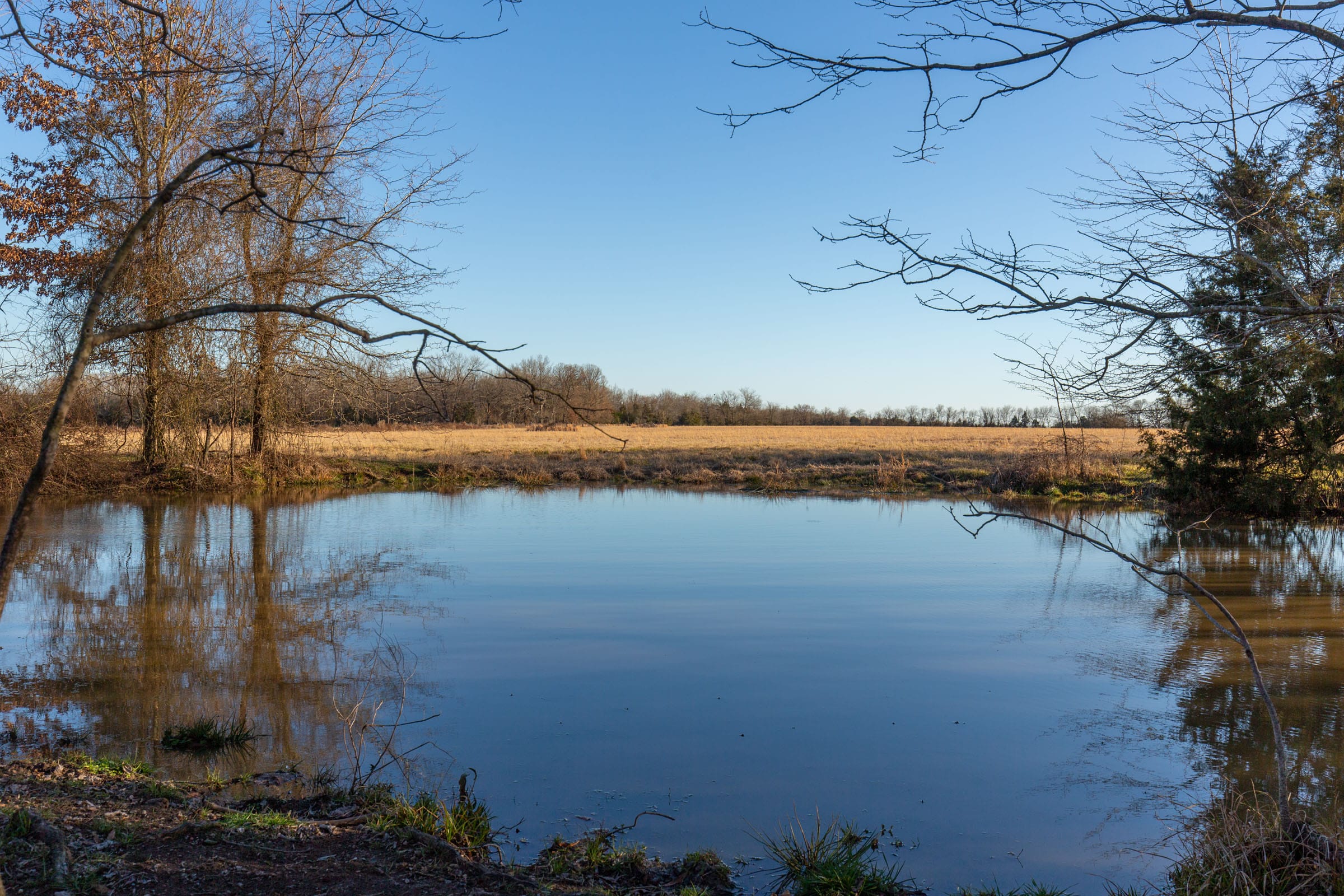 Wishing Star Ranch Tract 16 photo 4