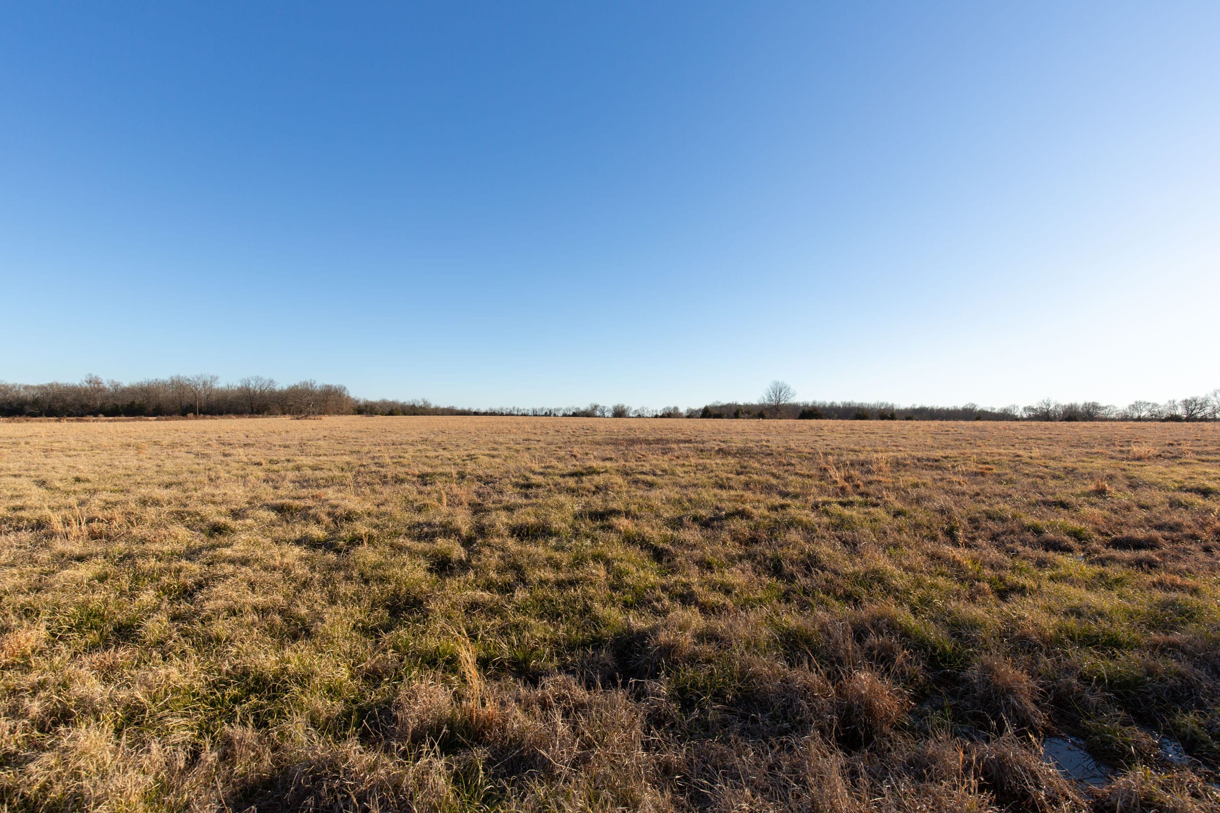 Wishing Star Ranch Tract 16 photo 10