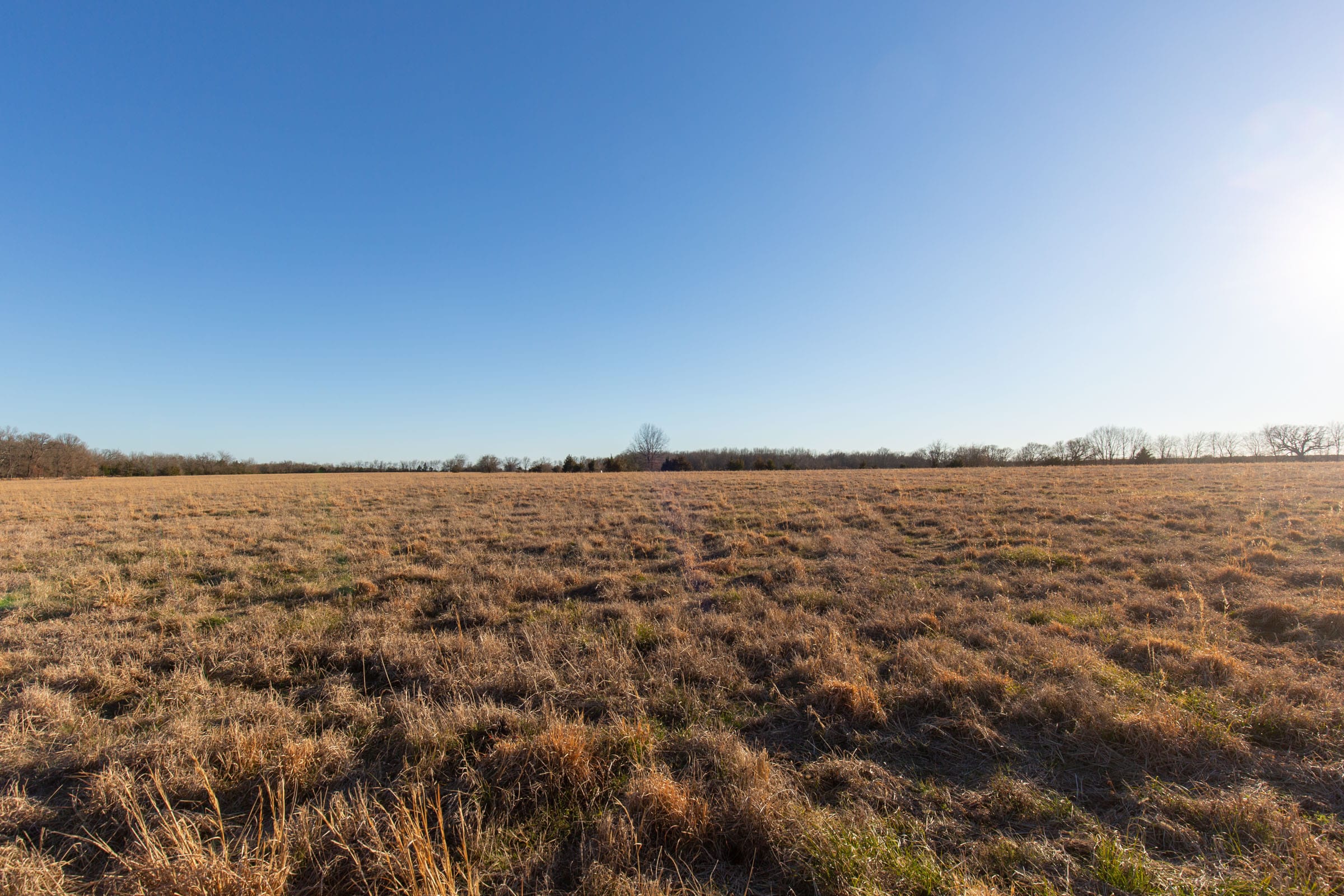Wishing Star Ranch Tract 16 photo 14