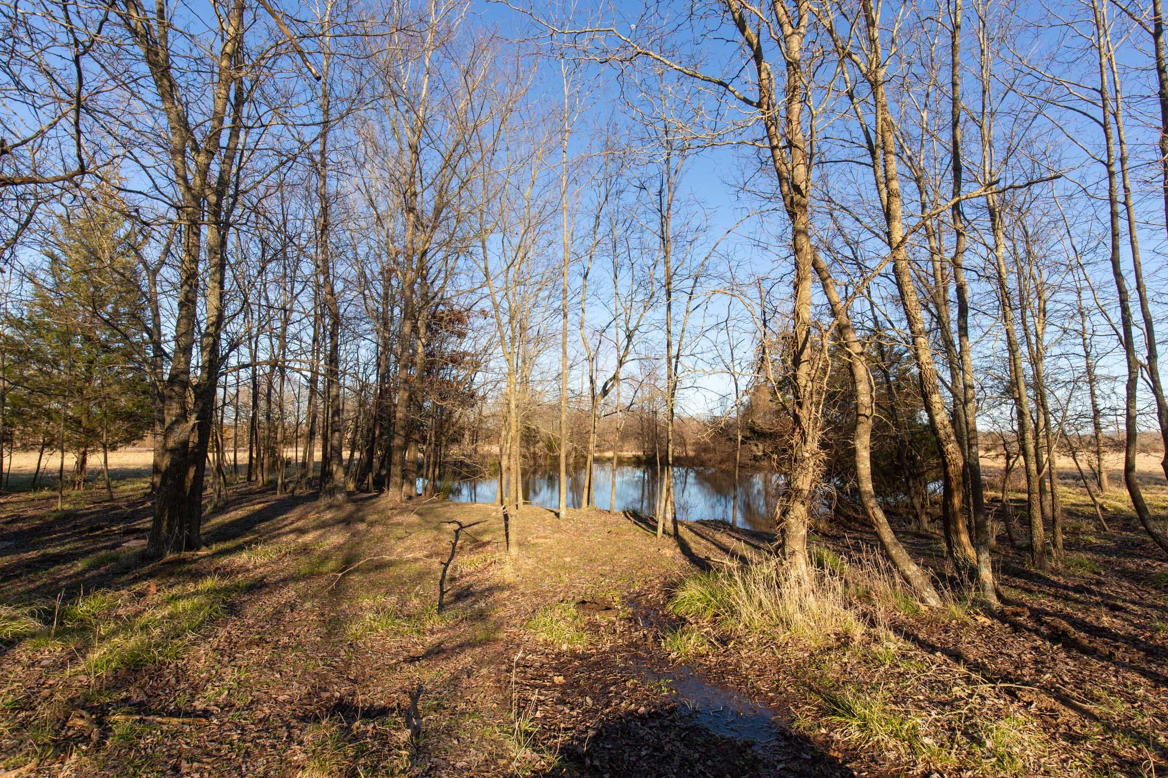 Wishing Star Ranch Tract 16 photo 16