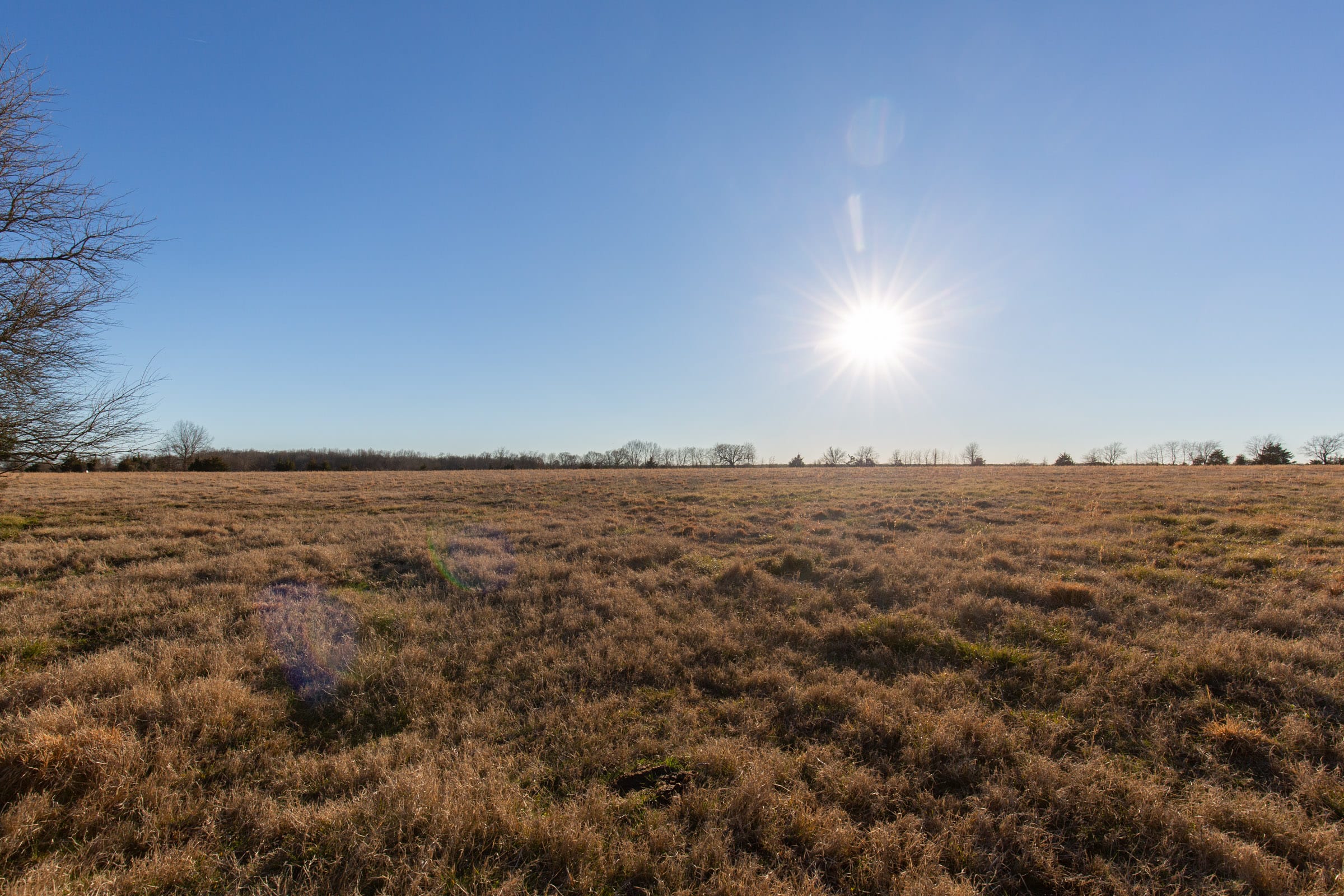 Wishing Star Ranch Tract 16 photo 17