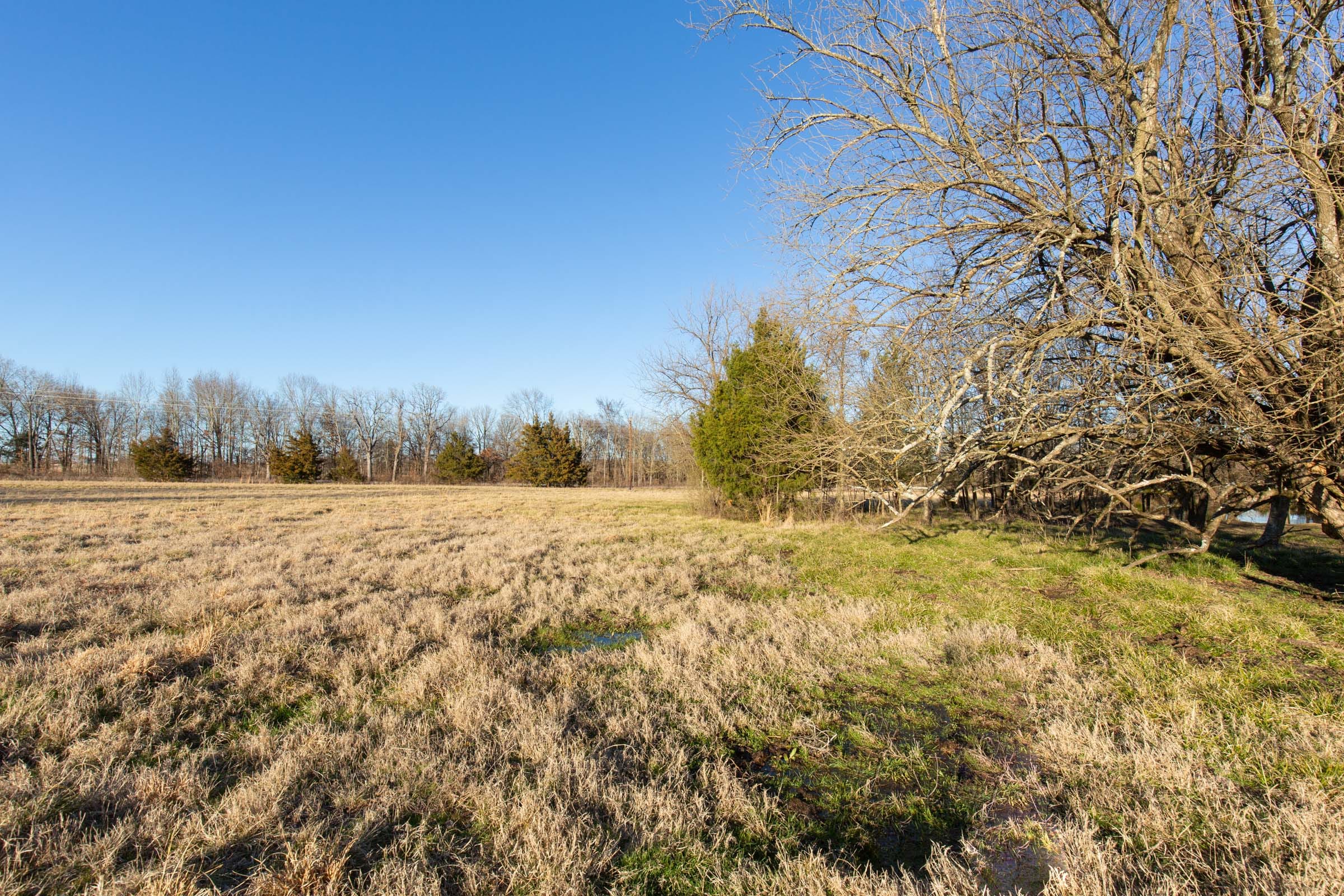 Wishing Star Ranch Tract 16 photo 18