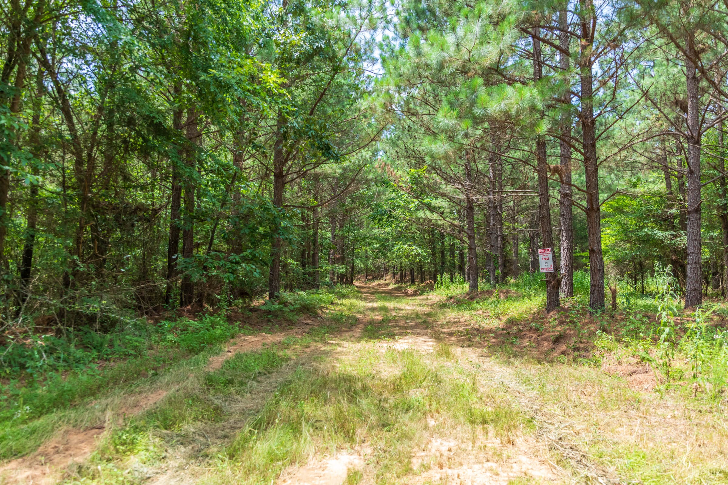 Whiskey Ridge Tract 52 photo 3