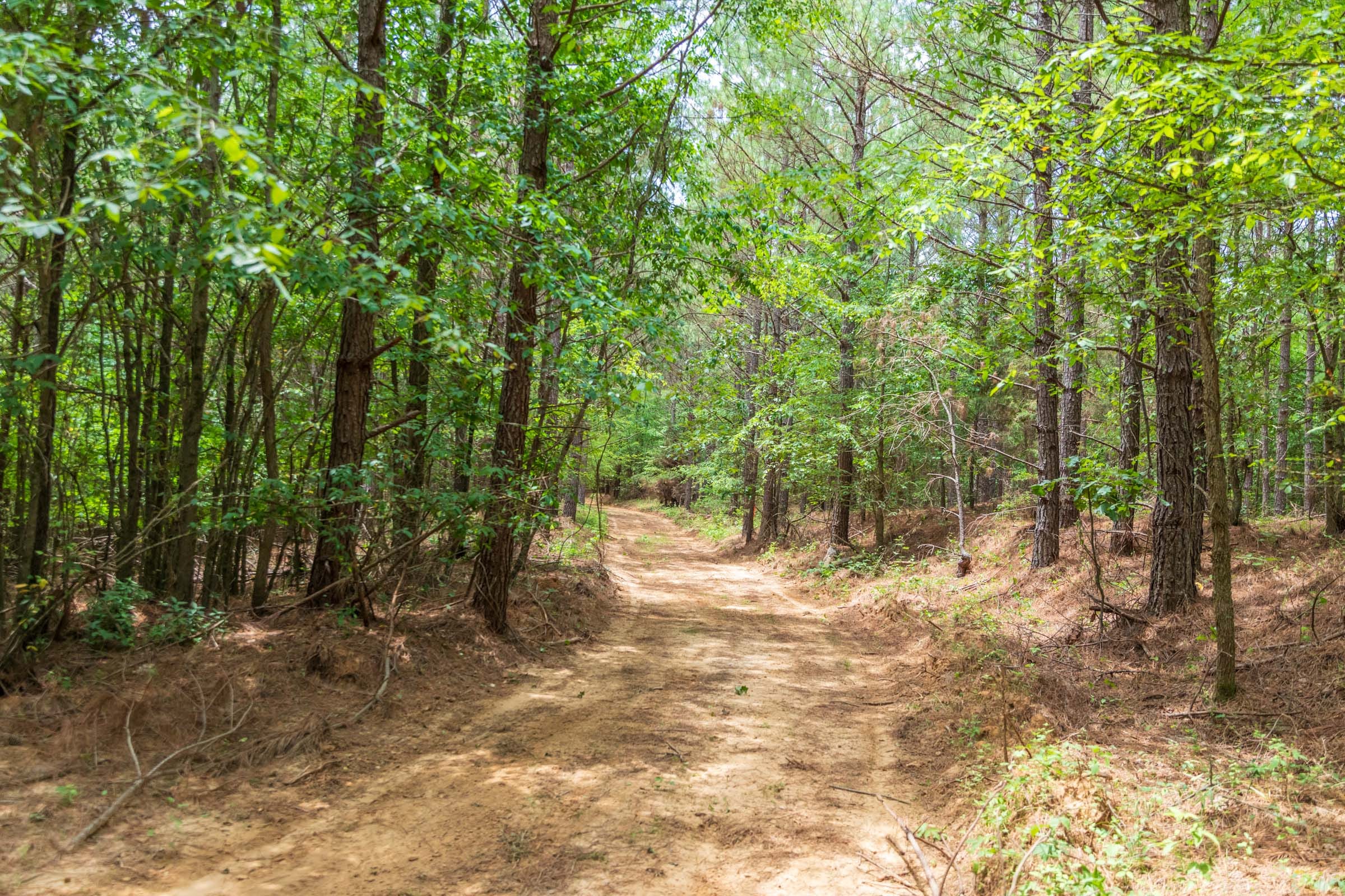 Whiskey Ridge Tract 52 photo 5
