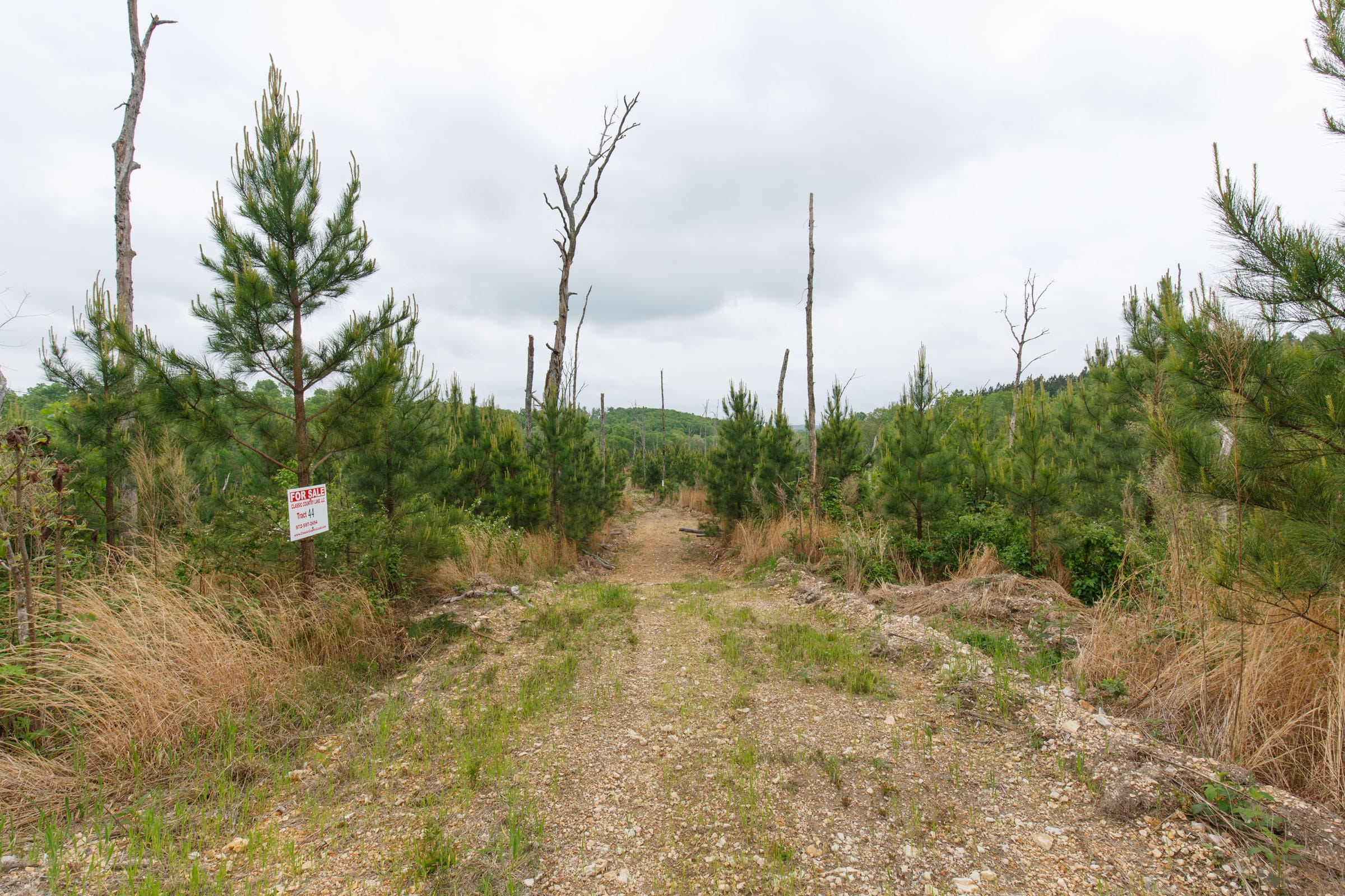 Red Barn Ranch Tract 44 photo 1