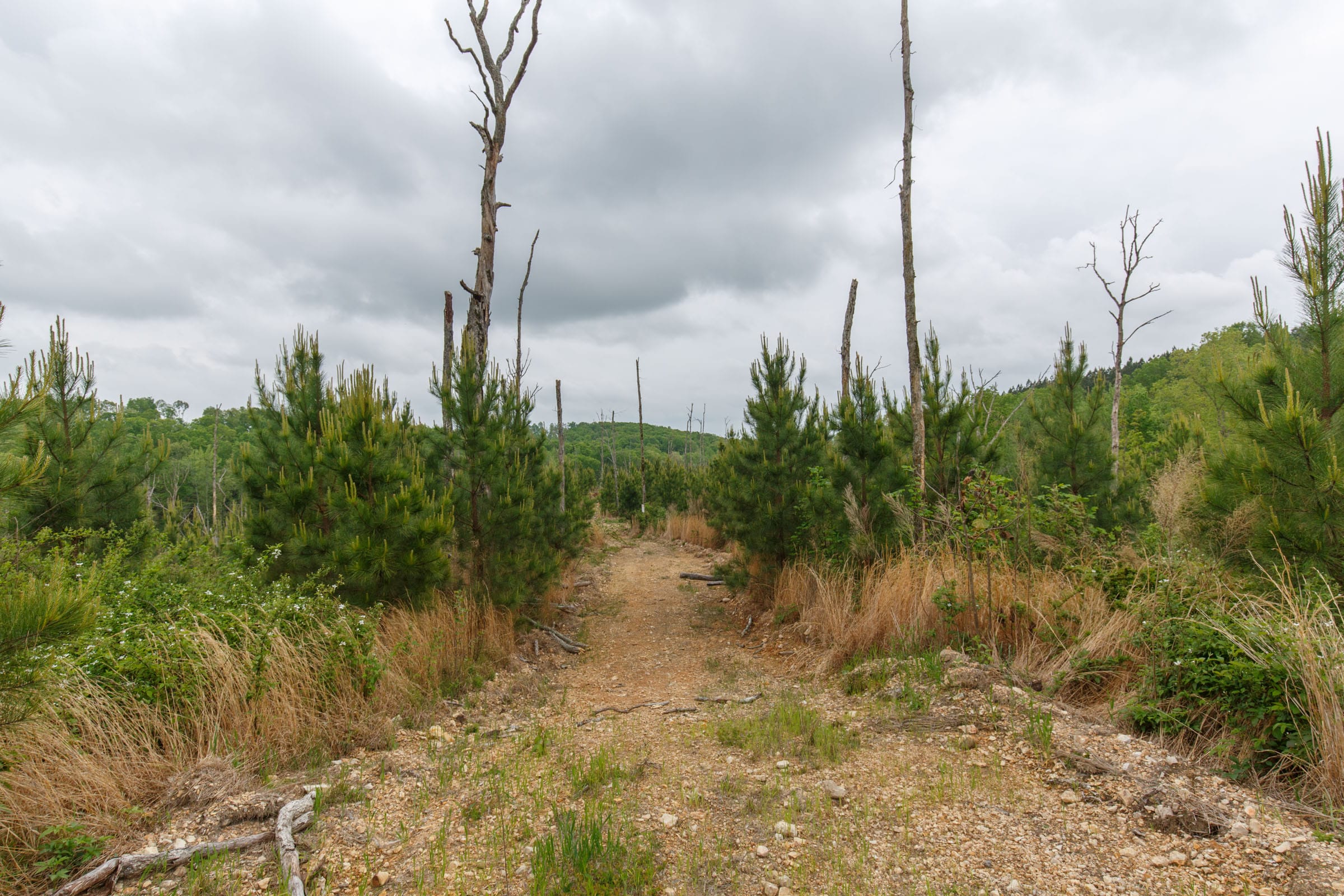 Red Barn Ranch Tract 44 photo 2