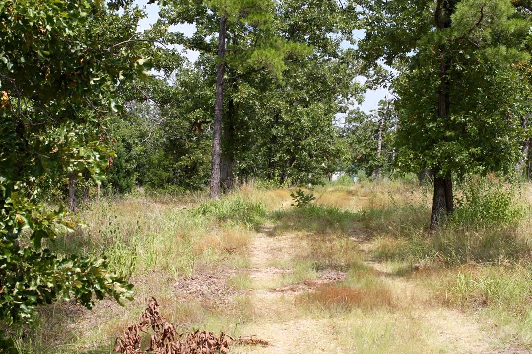 Lakeview Private Reserve Tract 5 photo 2