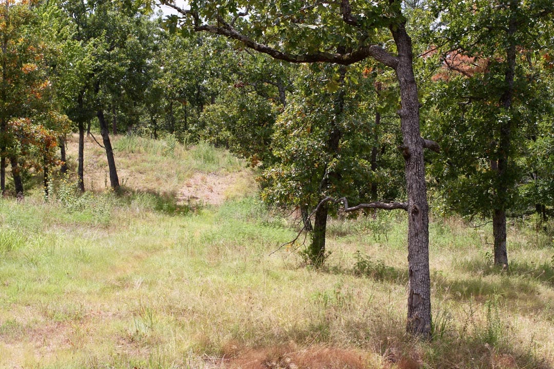 Lakeview Private Reserve Tract 5 photo 3