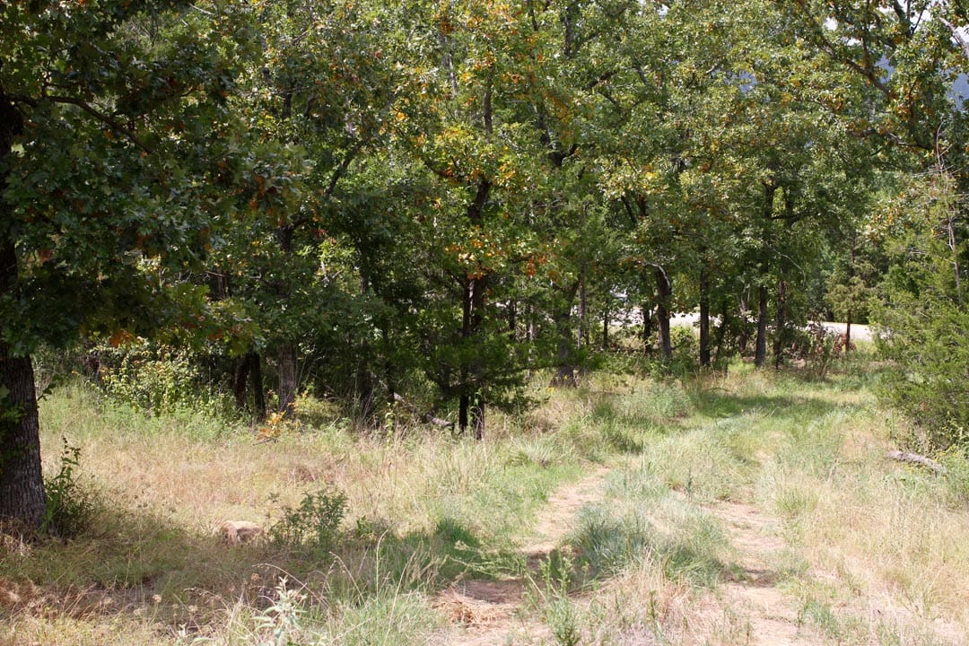 Lakeview Private Reserve Tract 5 photo 4