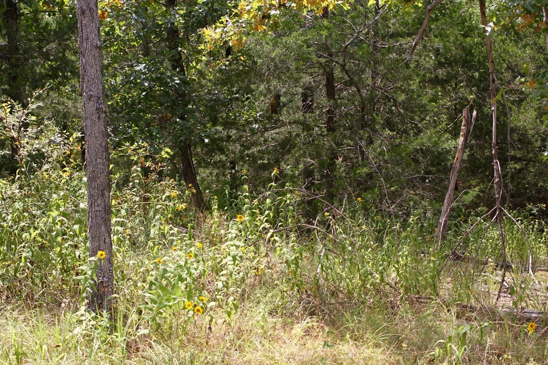 Lakeview Private Reserve Tract 5 photo 5
