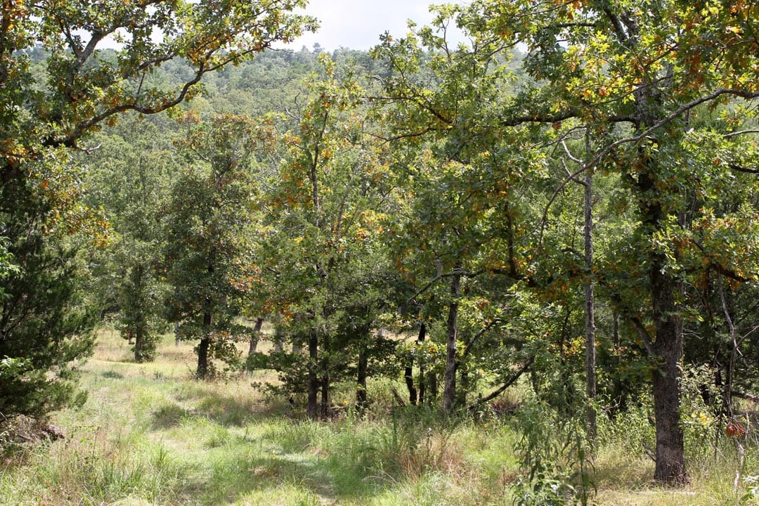 Lakeview Private Reserve Tract 5 photo 7