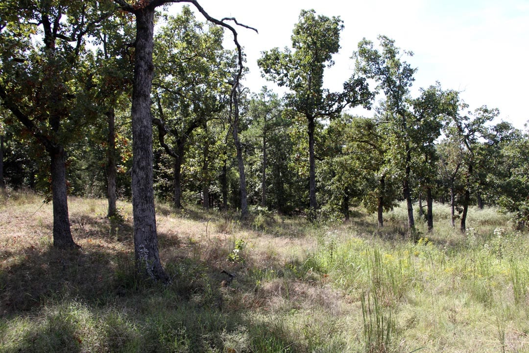 Lakeview Private Reserve Tract 5 photo 11