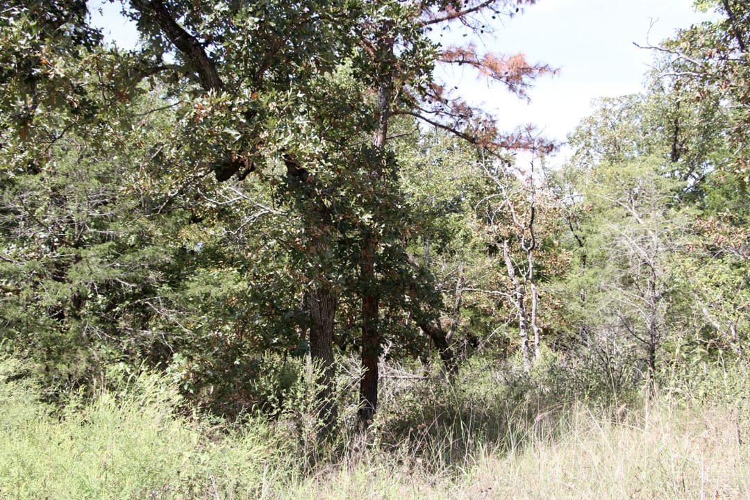 Lakeview Private Reserve Tract 5 photo 12