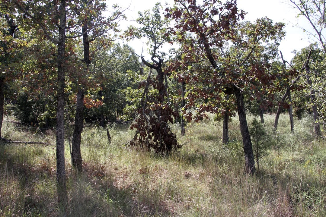 Lakeview Private Reserve Tract 5 photo 13