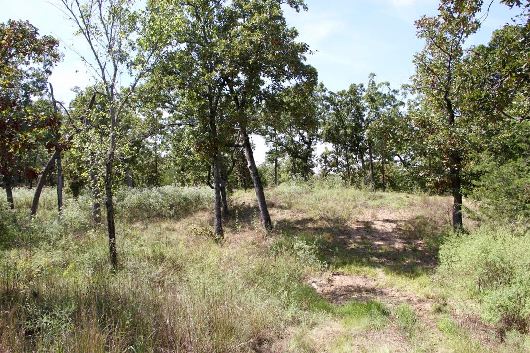 Lakeview Private Reserve Tract 5 photo 14